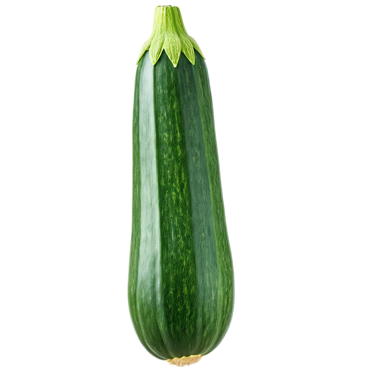 Zucchini vegetables isolated on transparent background #12323