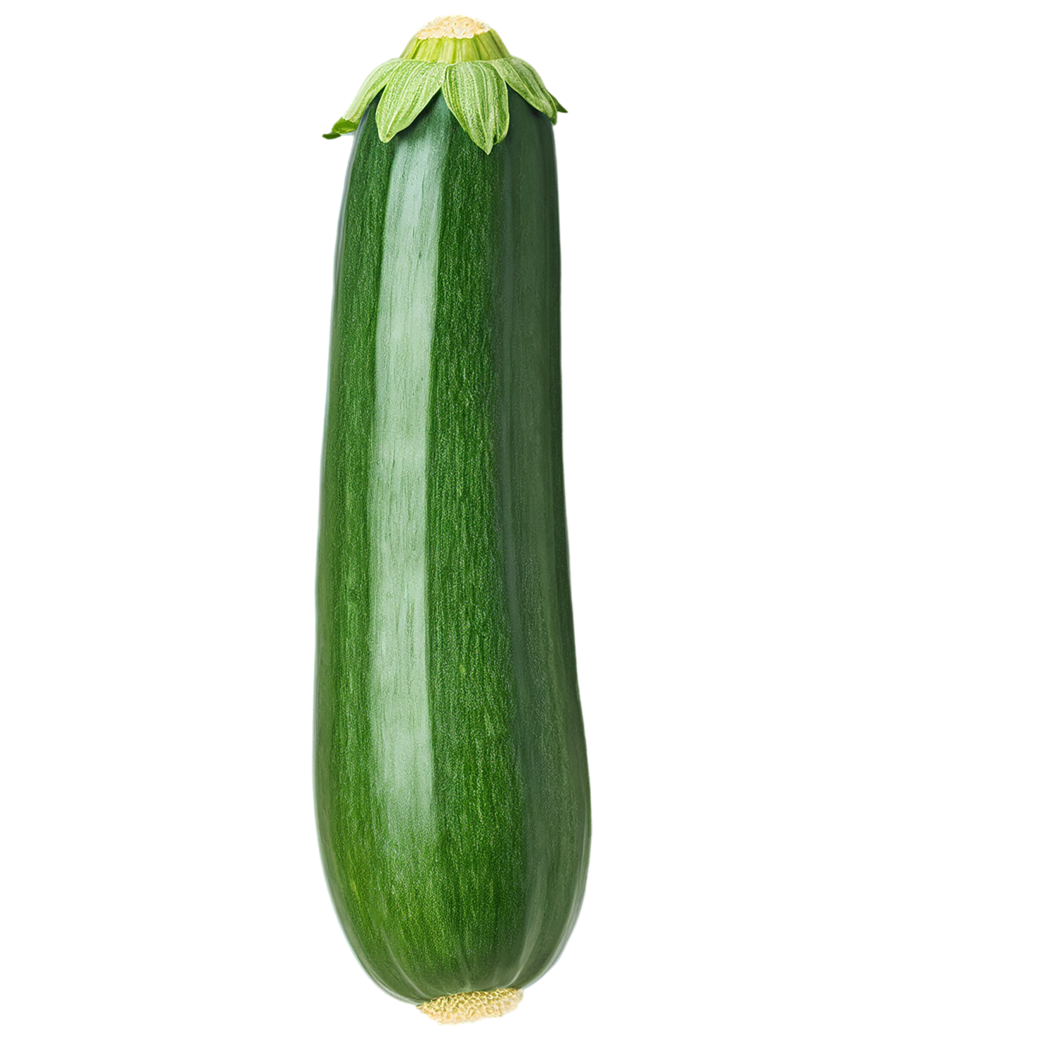 Zucchini vegetables isolated on transparent background #12325