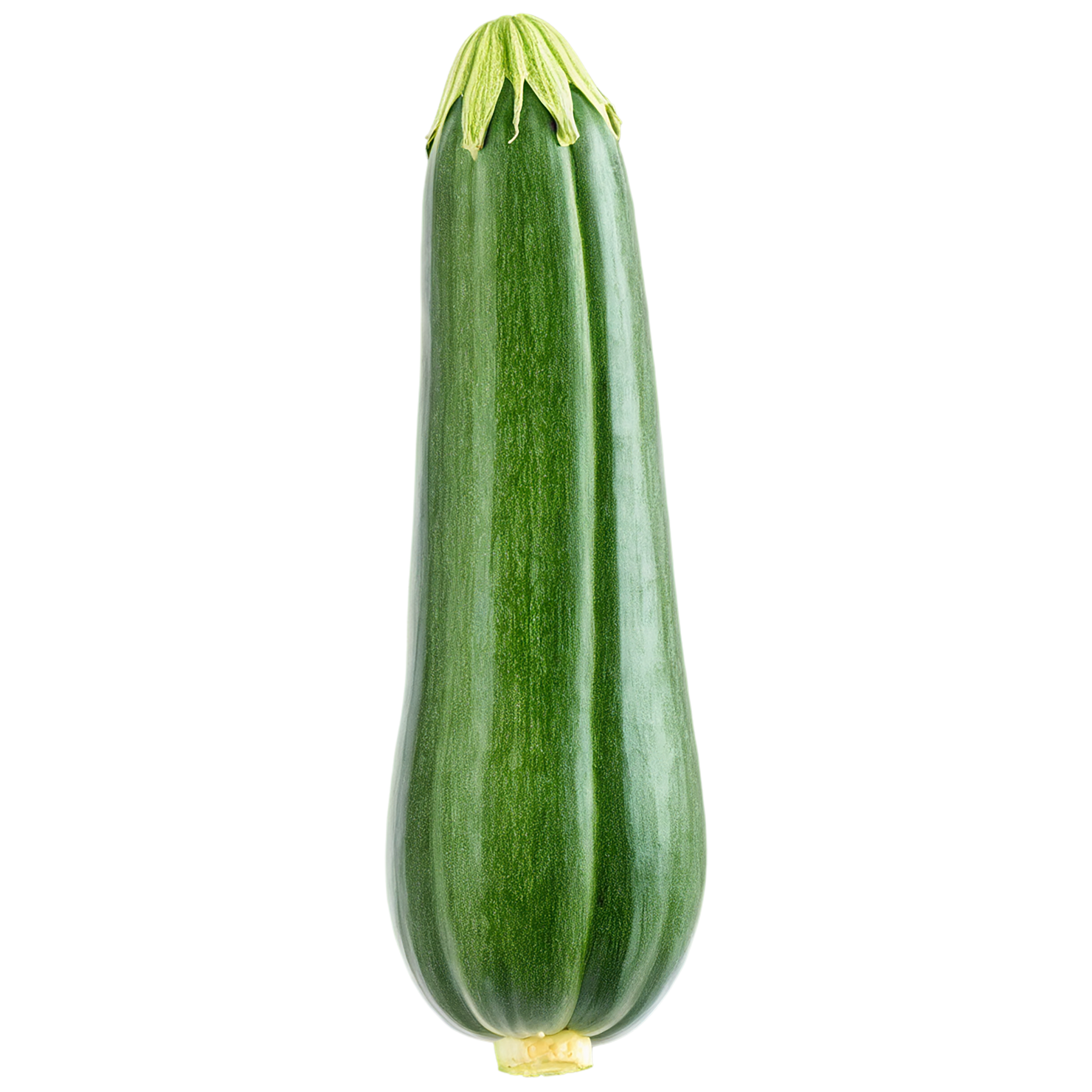 Zucchini vegetables isolated on transparent background #12327