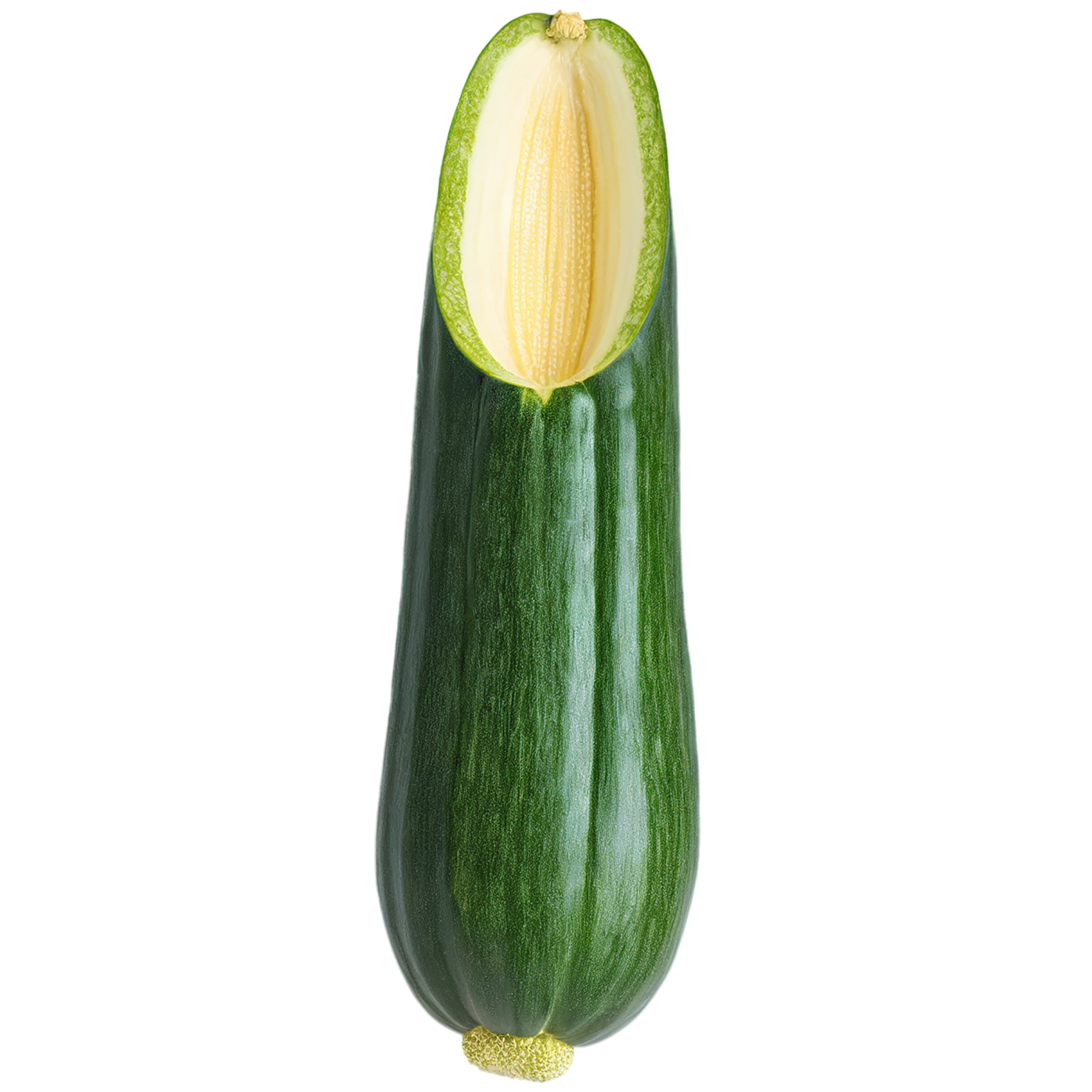 Zucchini vegetables isolated on transparent background #12332