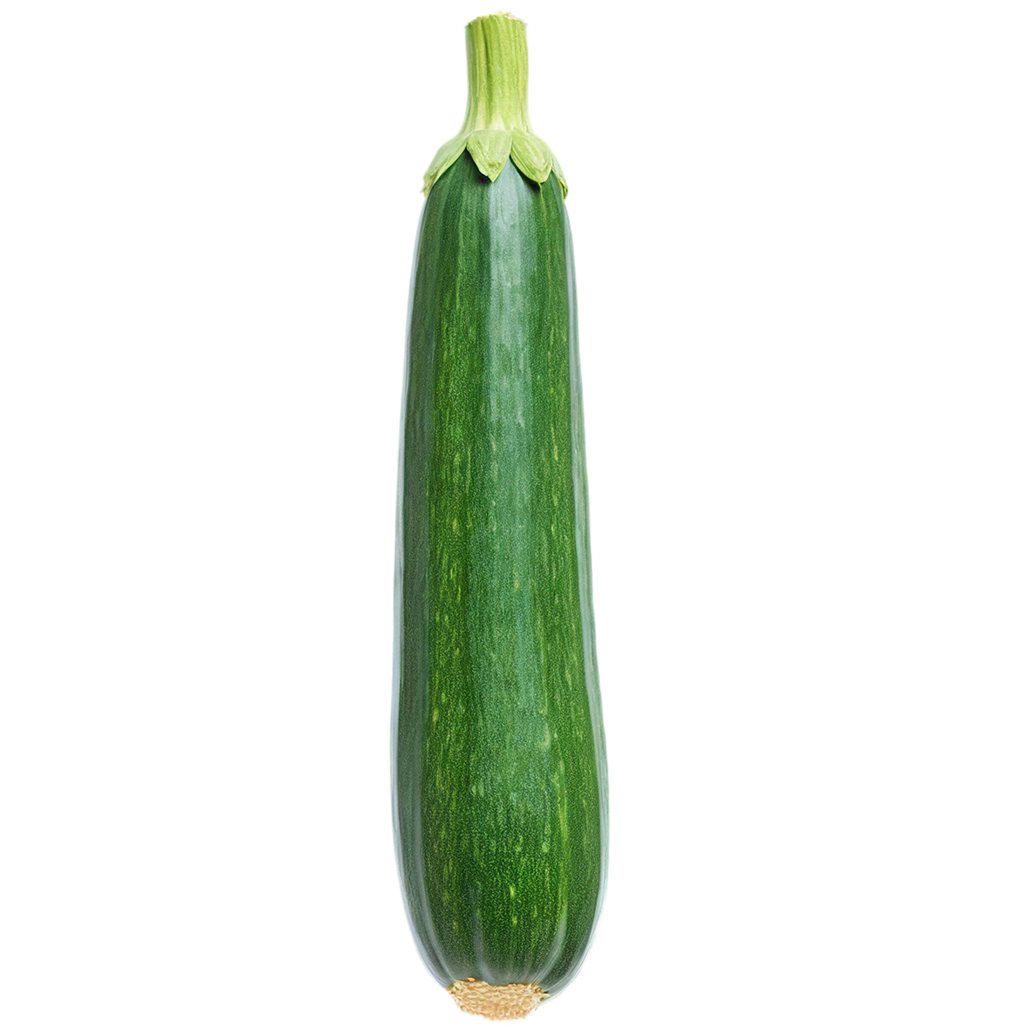 Zucchini vegetables isolated on transparent background #12333