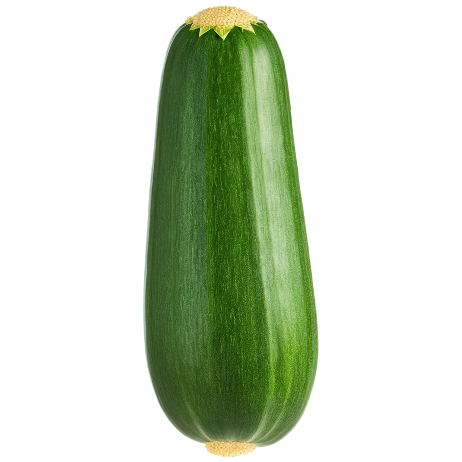 Zucchini vegetables isolated on transparent background #12334