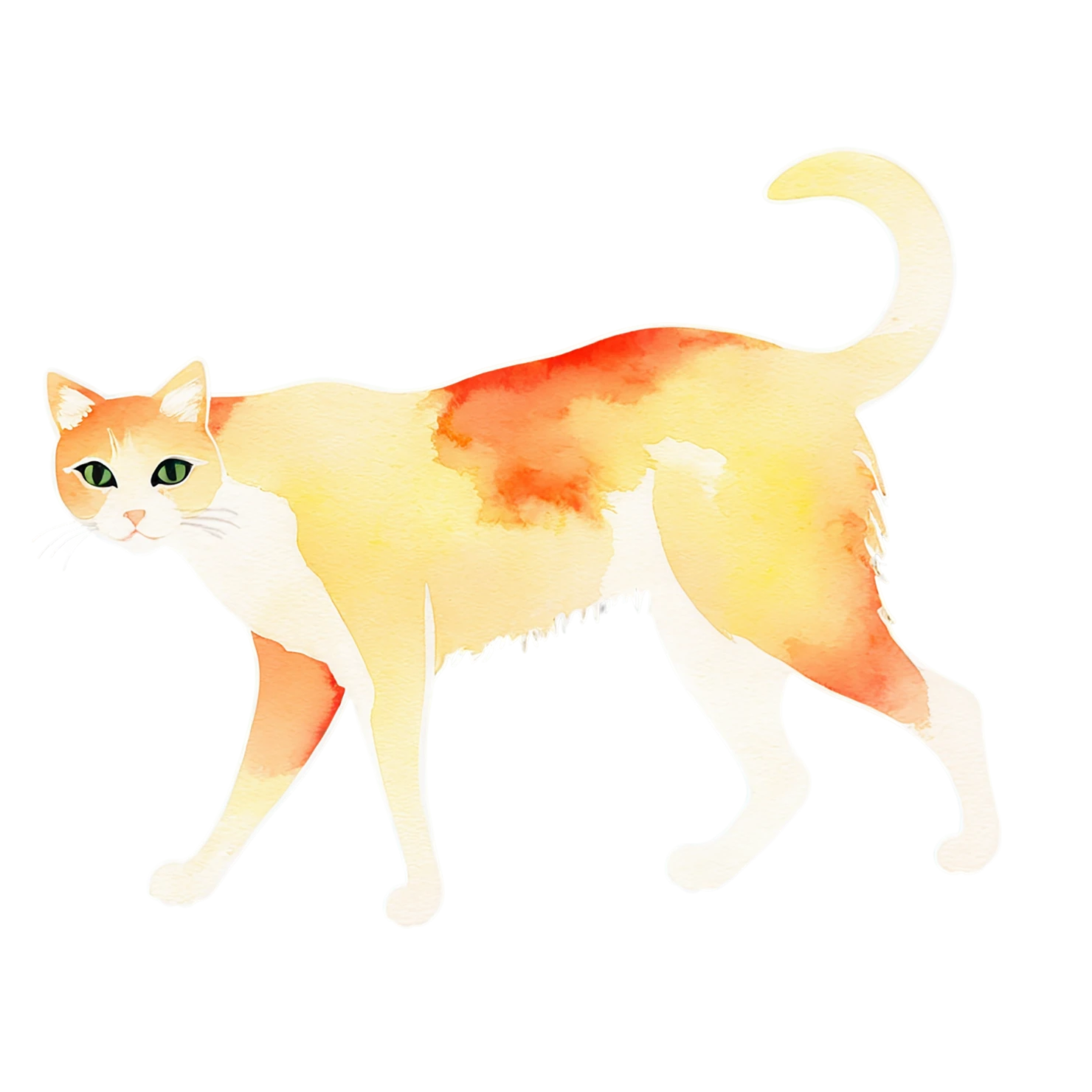 Cat watercolor sticker isolated on transparent background #14766