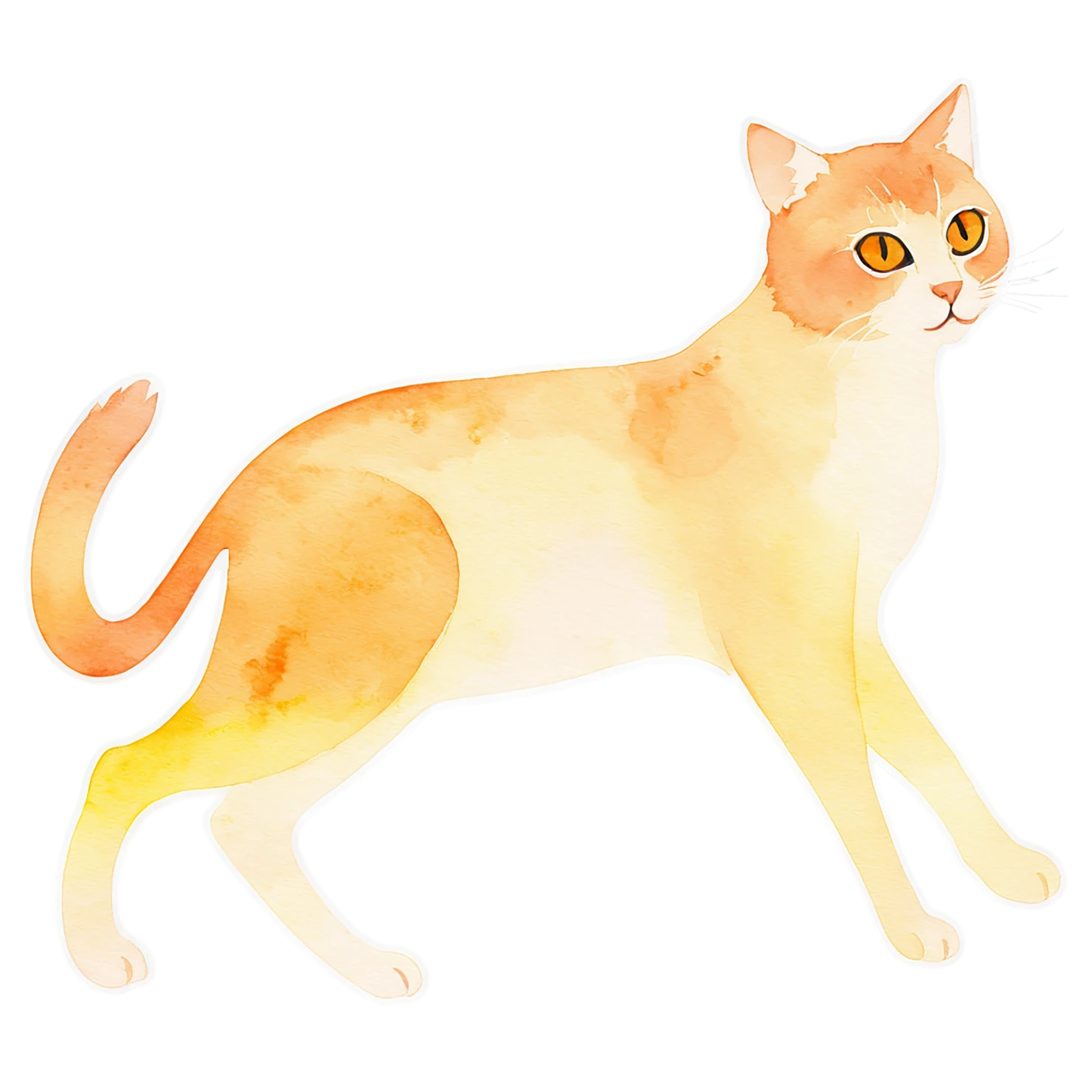 Cat watercolor sticker isolated on transparent background #14817