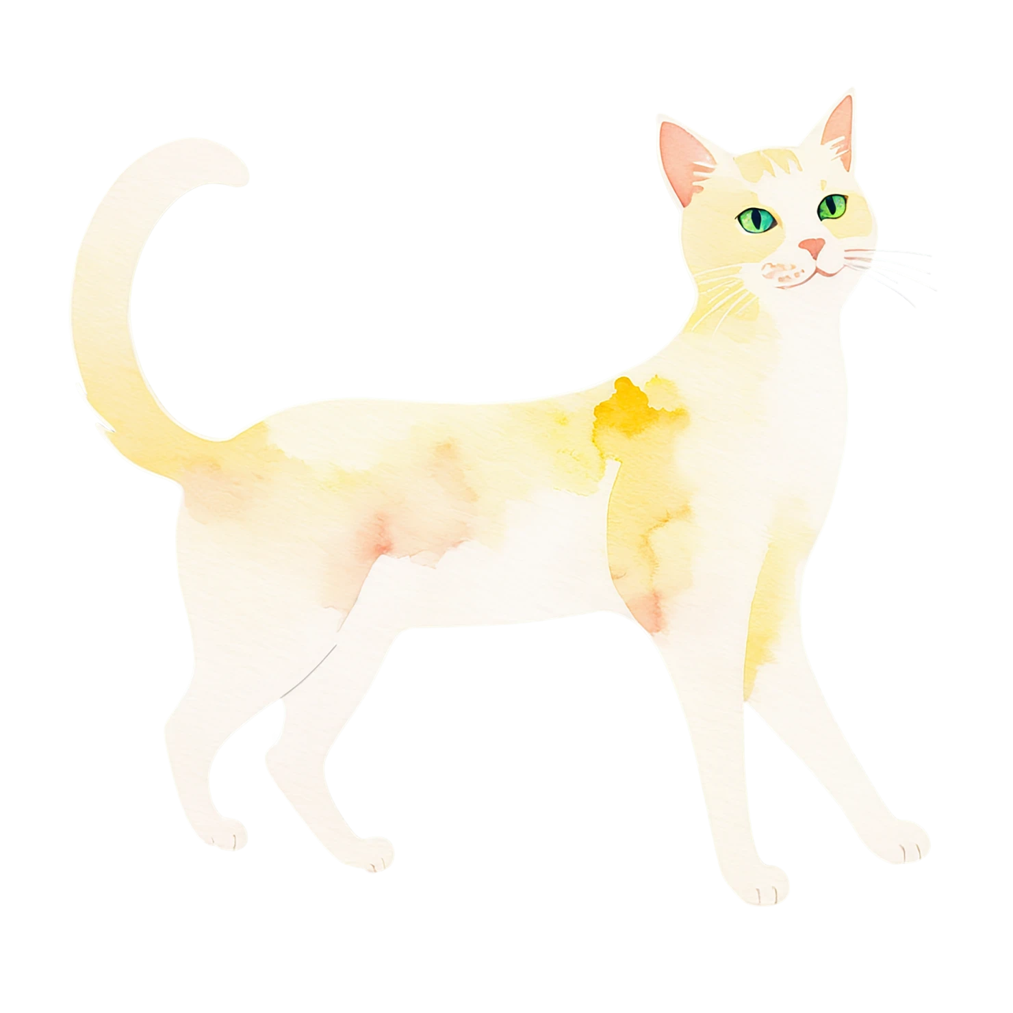Cat watercolor sticker isolated on transparent background #14834