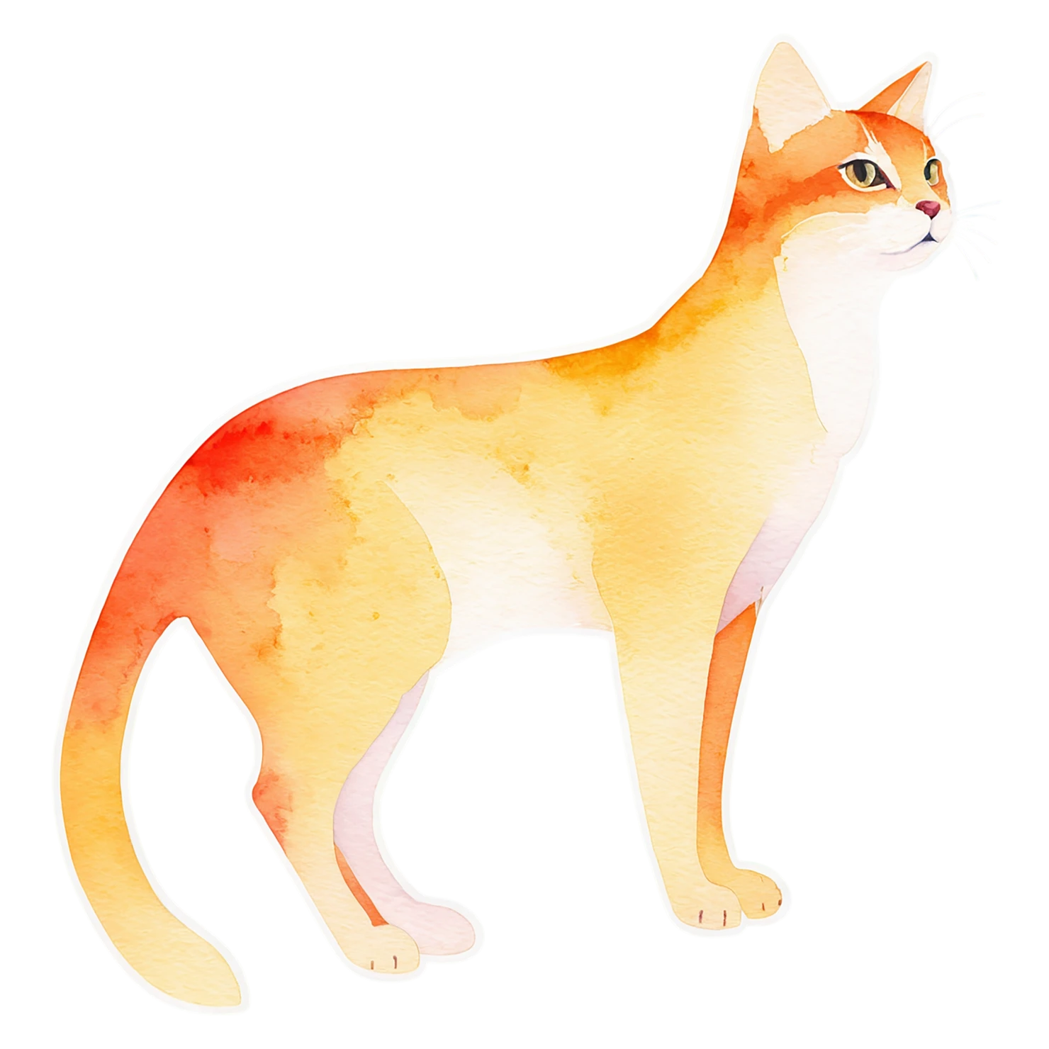 Cat watercolor sticker isolated on transparent background #14959
