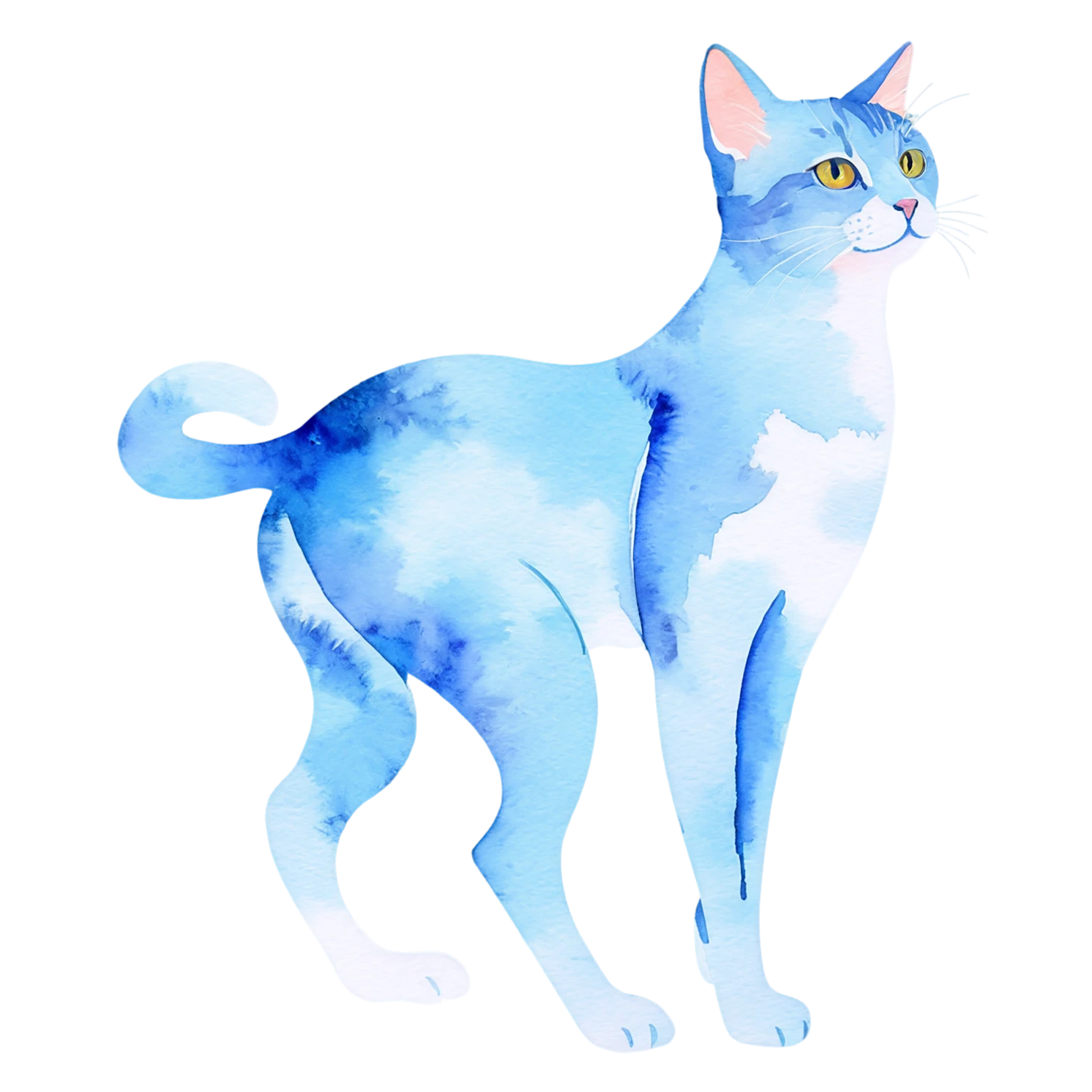 Cat watercolor sticker isolated on transparent background #14967