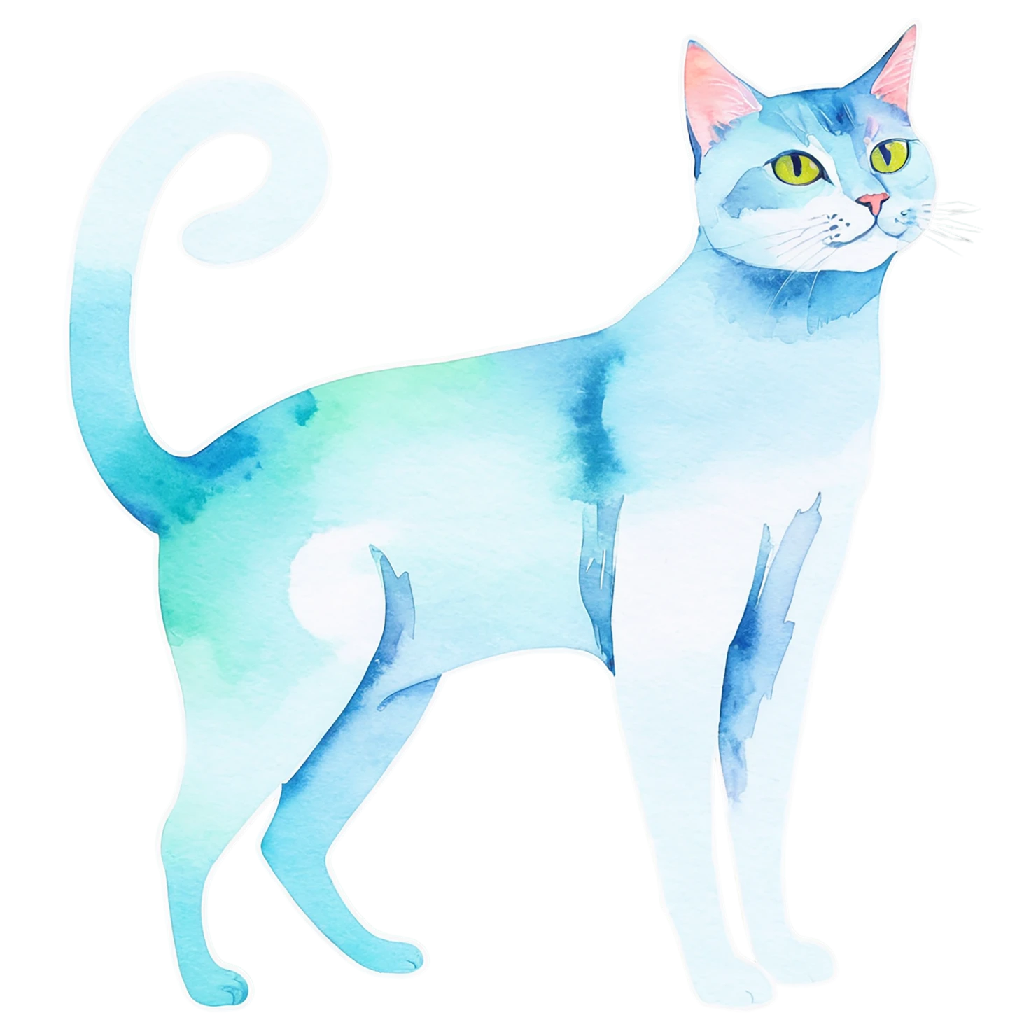 Cat watercolor sticker isolated on transparent background #14975