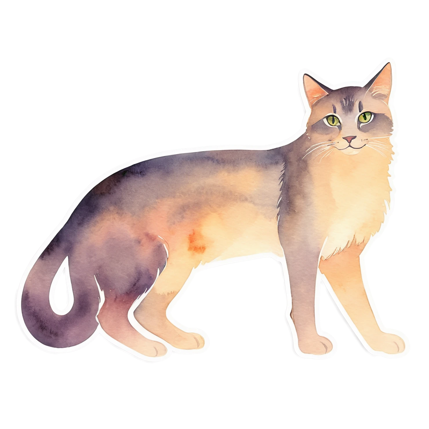 Cat watercolor sticker isolated on transparent background #14983