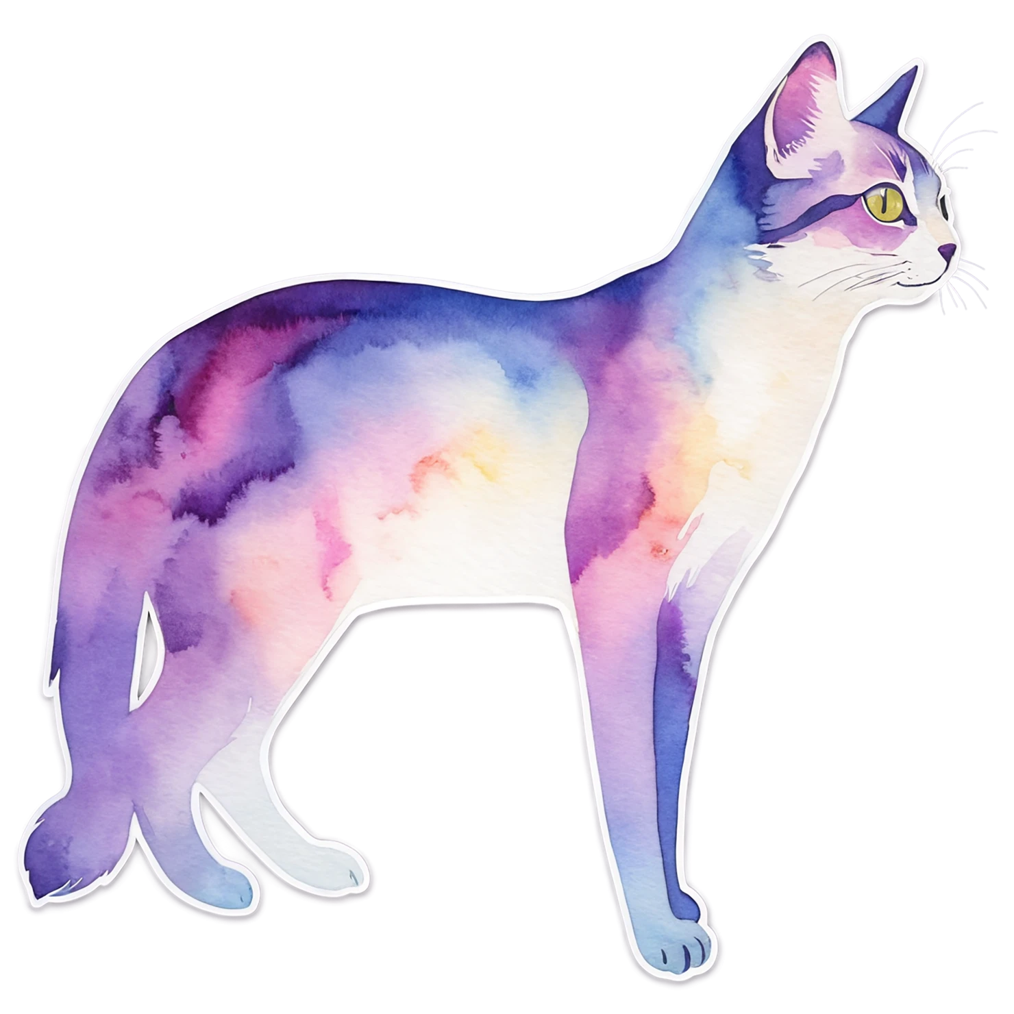 Cat watercolor sticker isolated on transparent background #14991