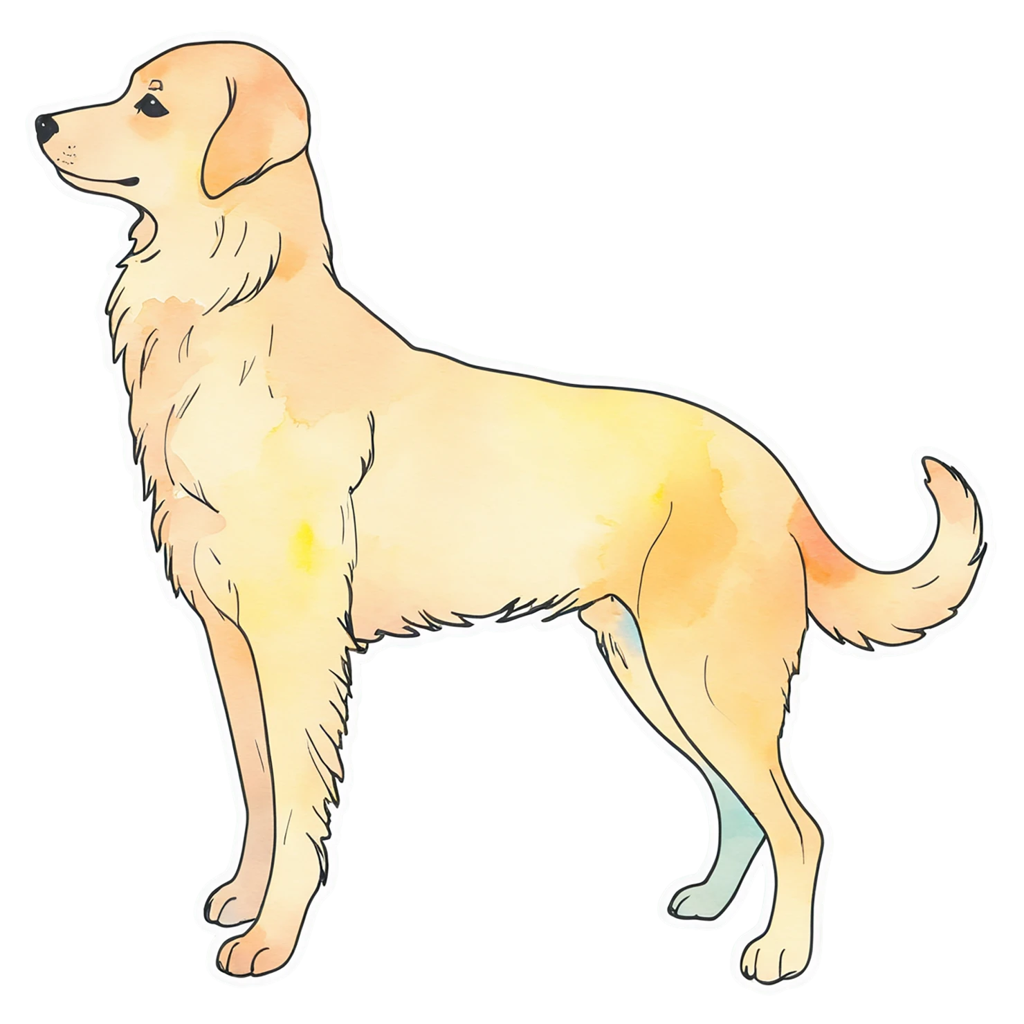 Dog watercolor sticker isolated on transparent background #15079