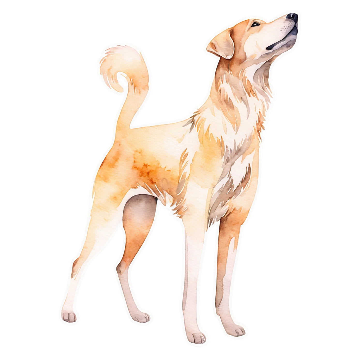 Dog watercolor sticker isolated on transparent background #15090