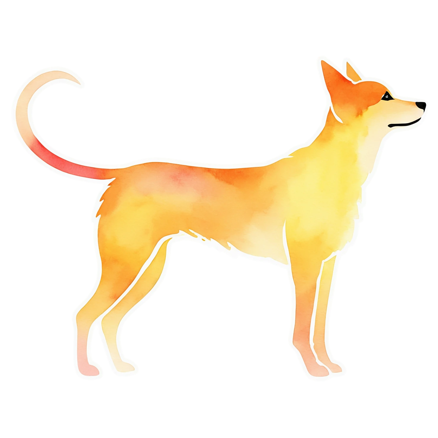Dog watercolor sticker isolated on transparent background #15166