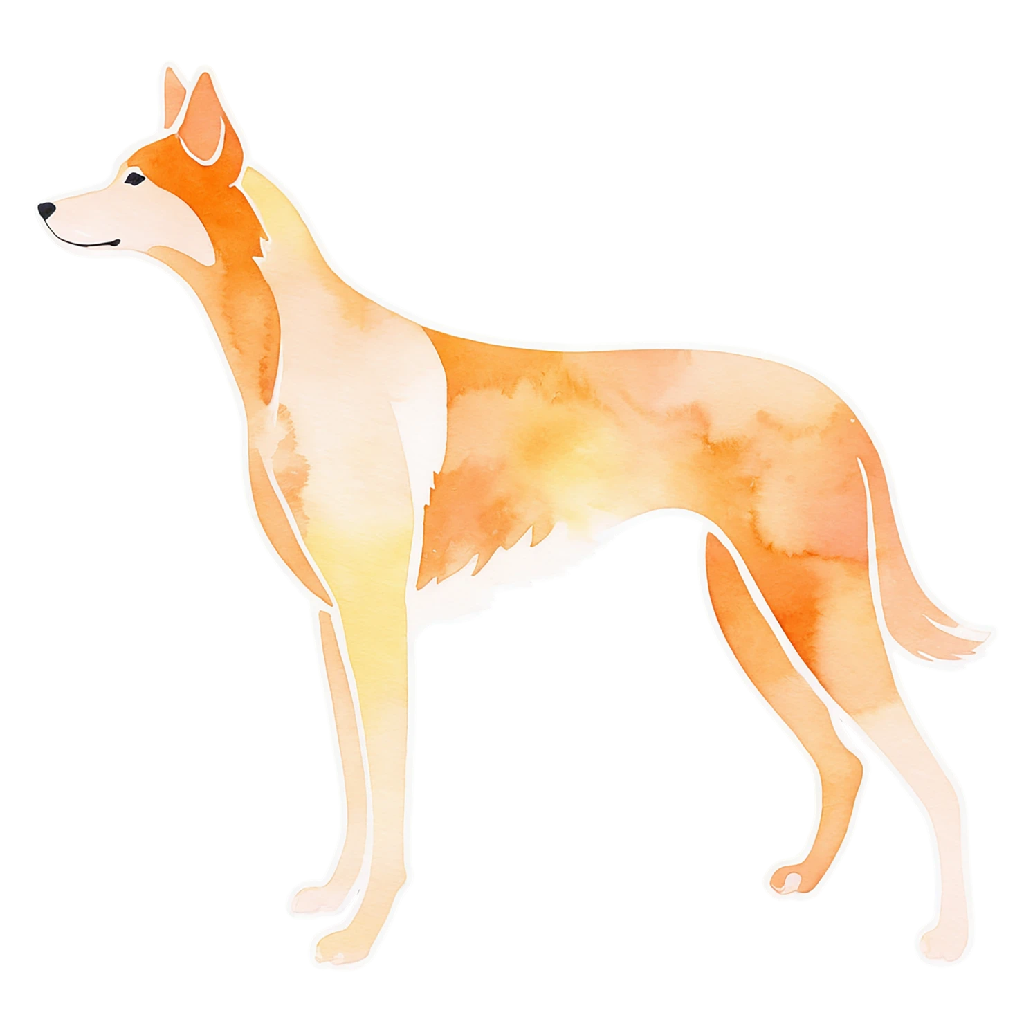 Dog watercolor sticker isolated on transparent background #15168
