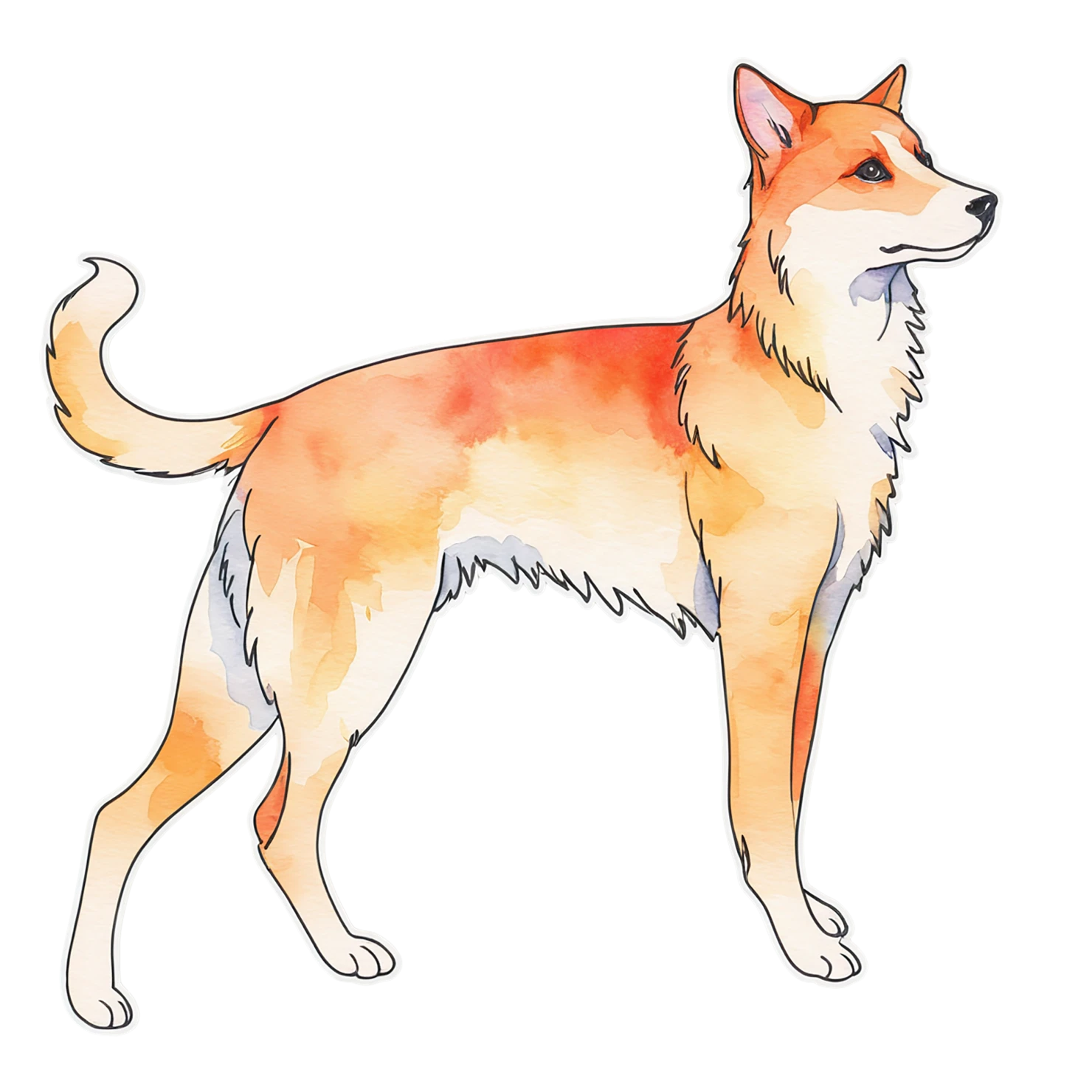 Dog watercolor sticker isolated on transparent background #15169