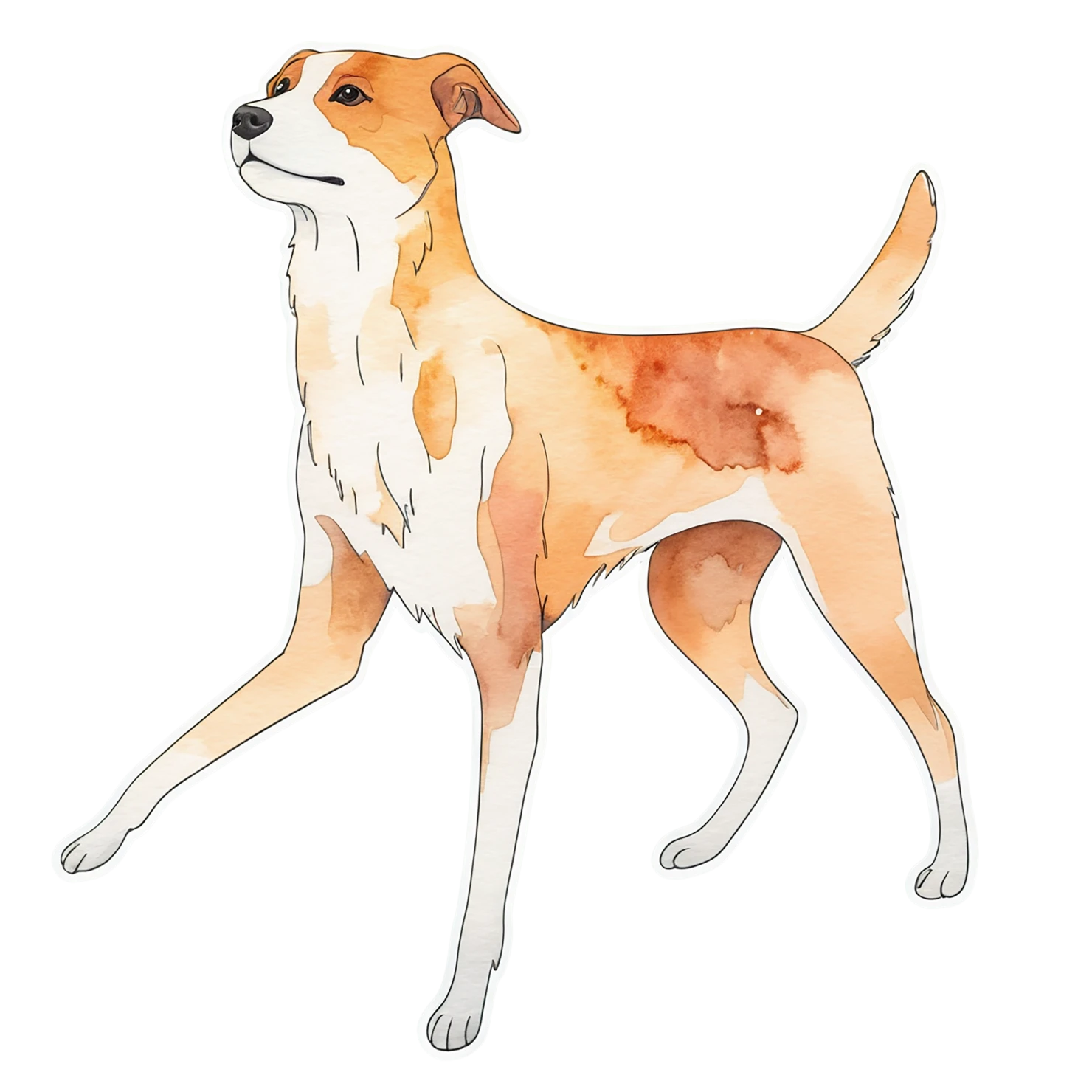 Dog watercolor sticker isolated on transparent background #15173