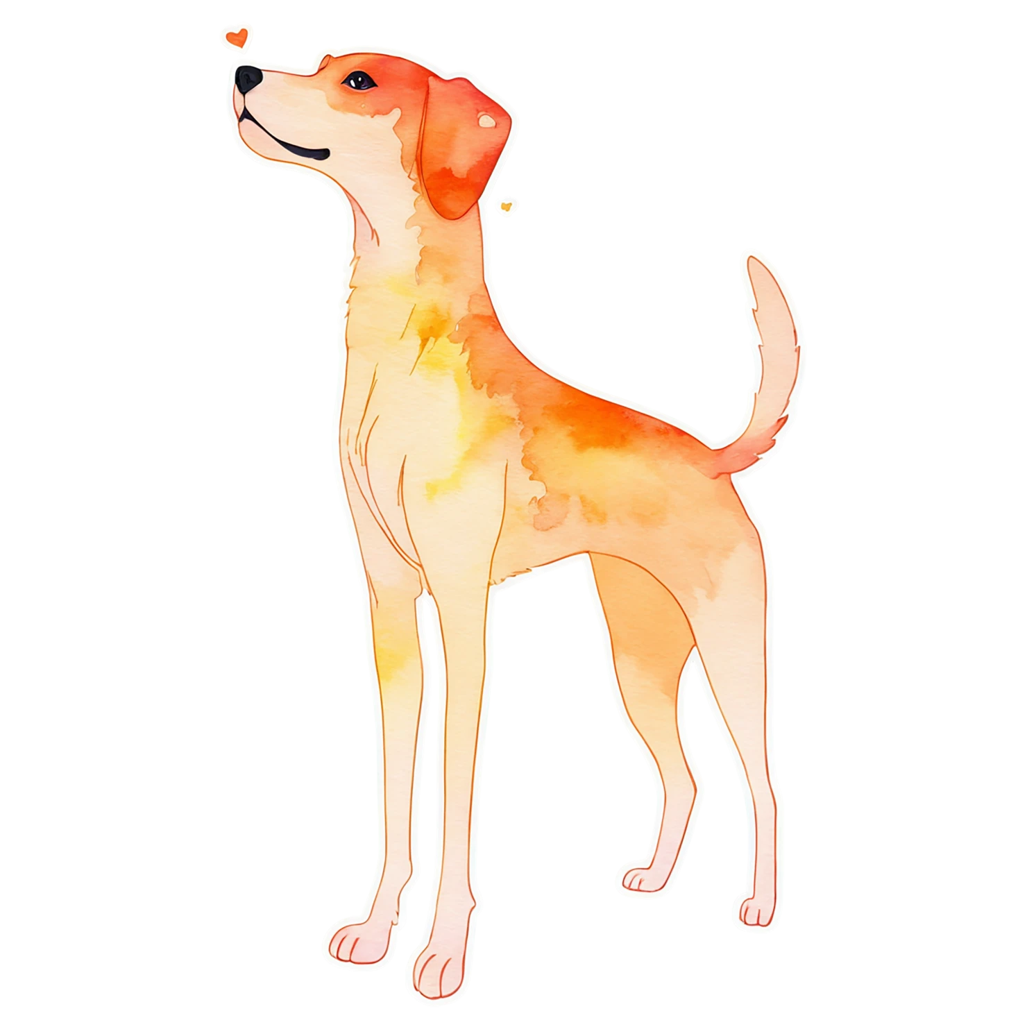 Dog watercolor sticker isolated on transparent background #15212