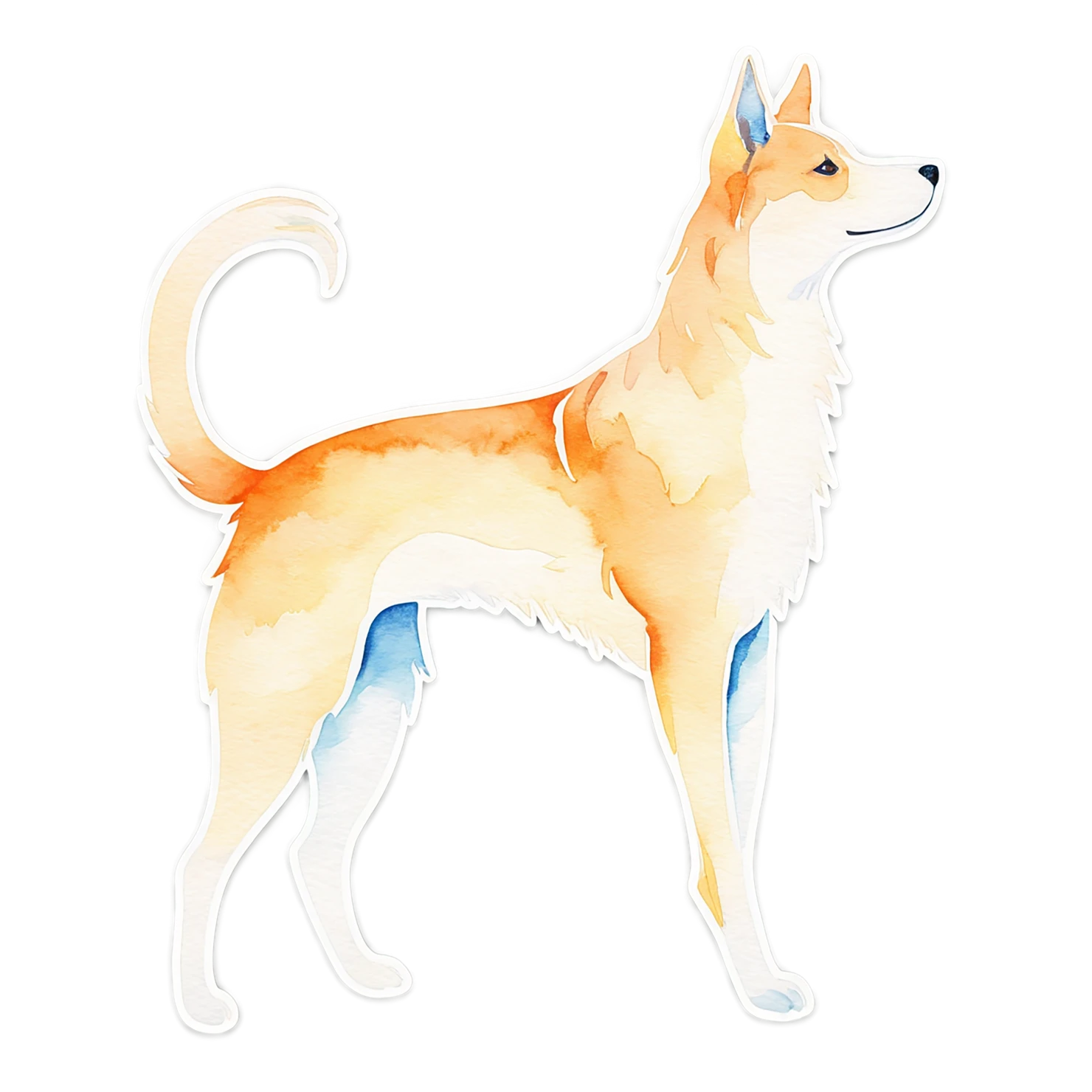 Dog watercolor sticker isolated on transparent background #15219
