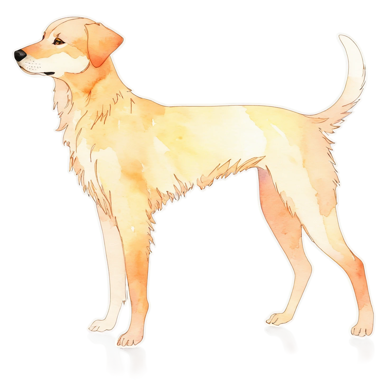 Dog watercolor sticker isolated on transparent background #15256