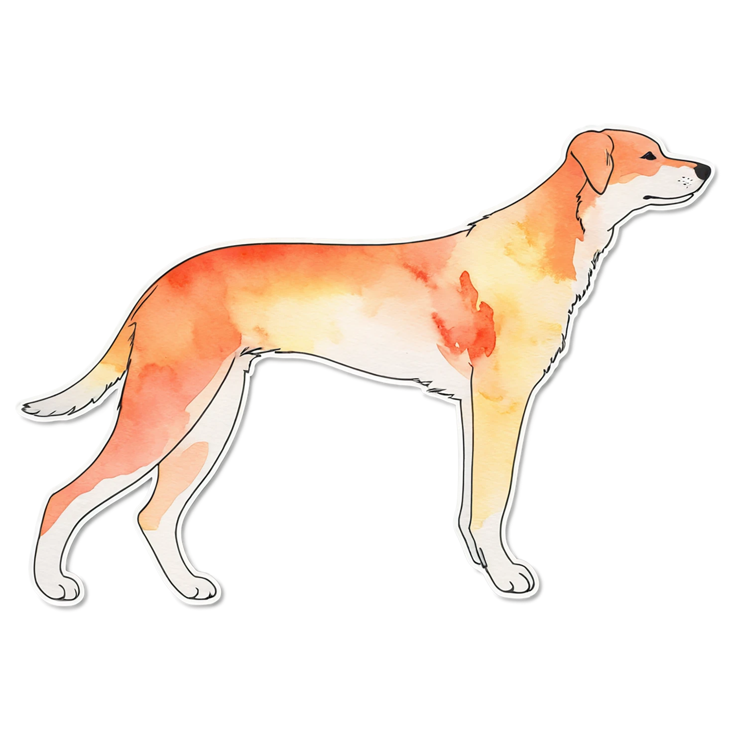 Dog watercolor sticker isolated on transparent background #15267