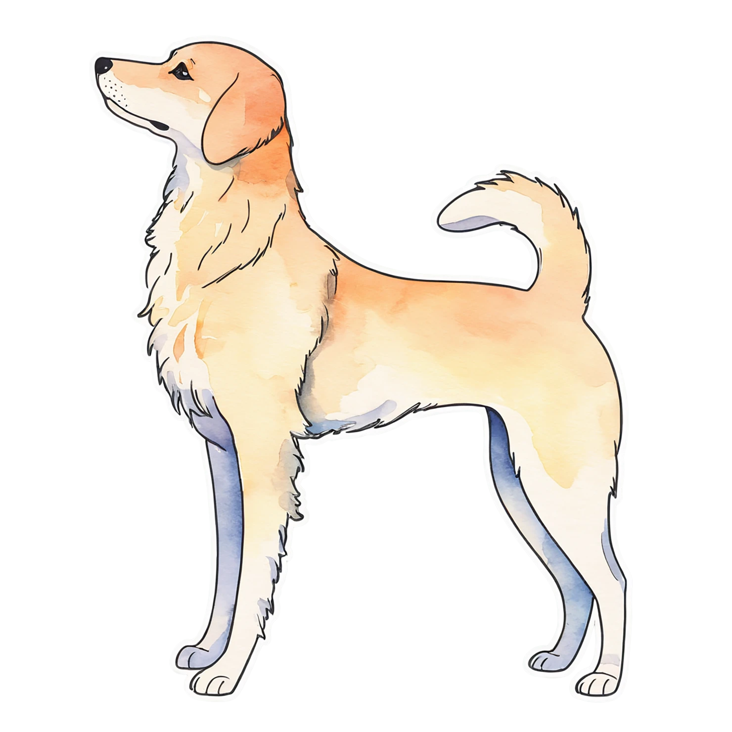Dog watercolor sticker isolated on transparent background #15331