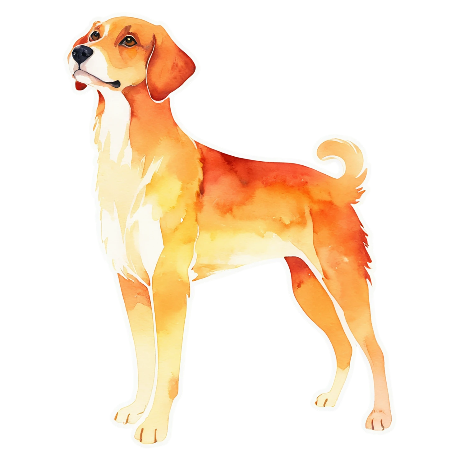 Dog watercolor sticker isolated on transparent background #15353