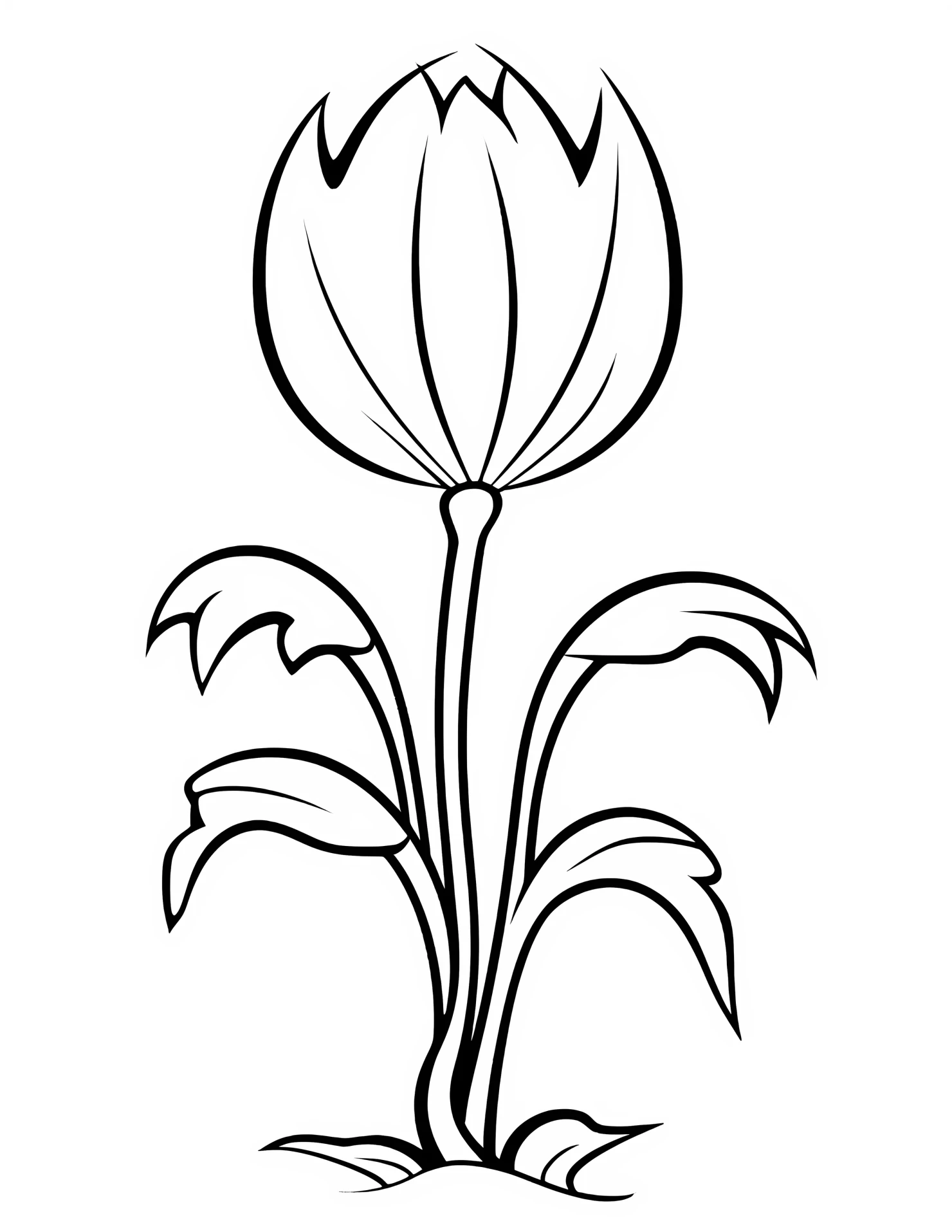 Tulip for kids coloring page on white color background #33186