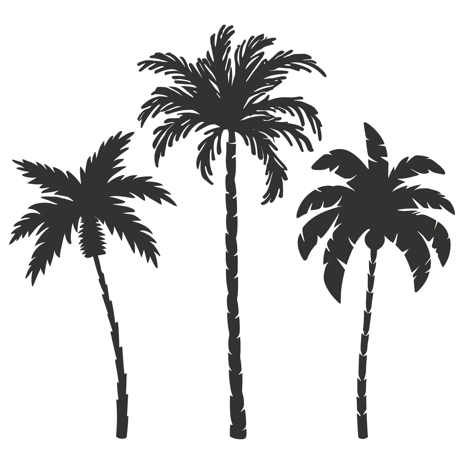 Palm customizable silhouette set design #34164
