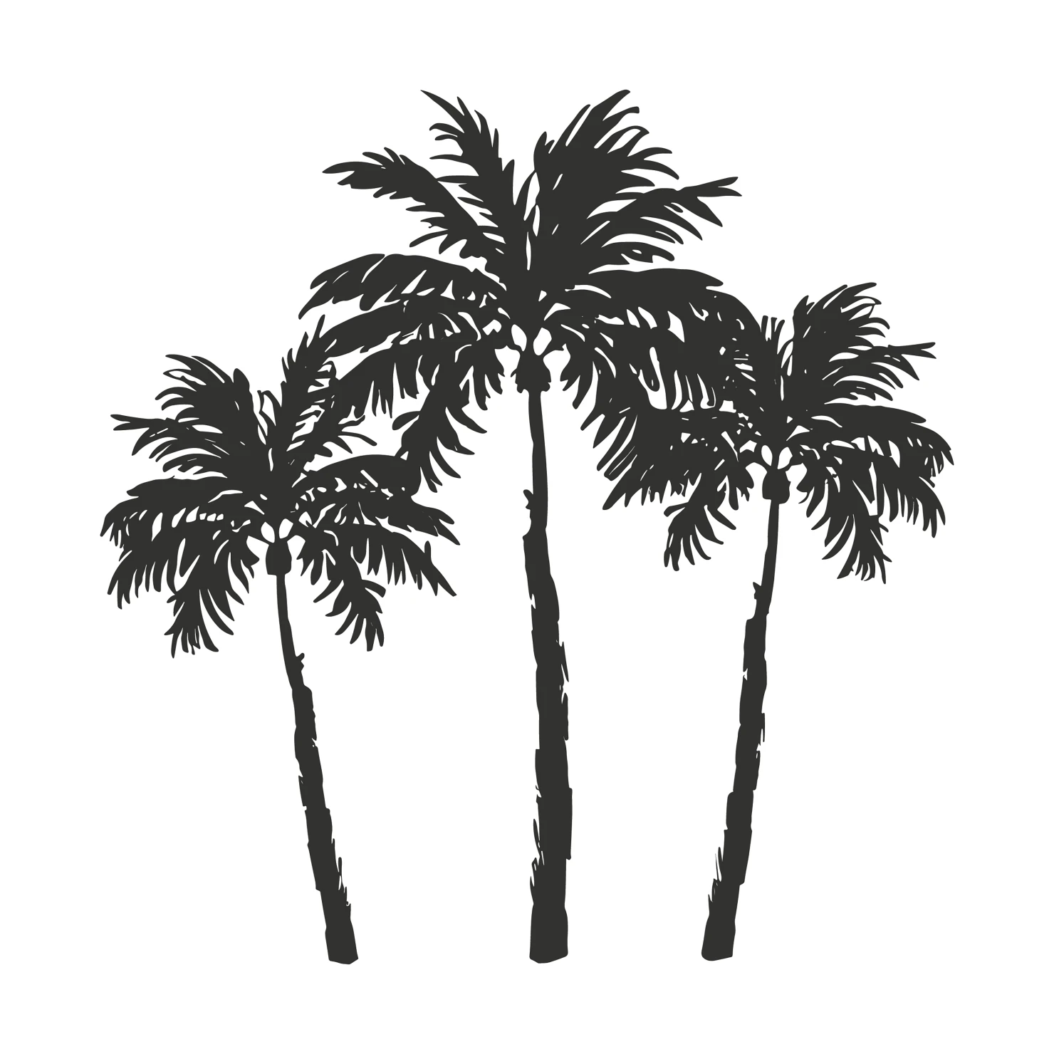 Palm customizable silhouette set design #34175
