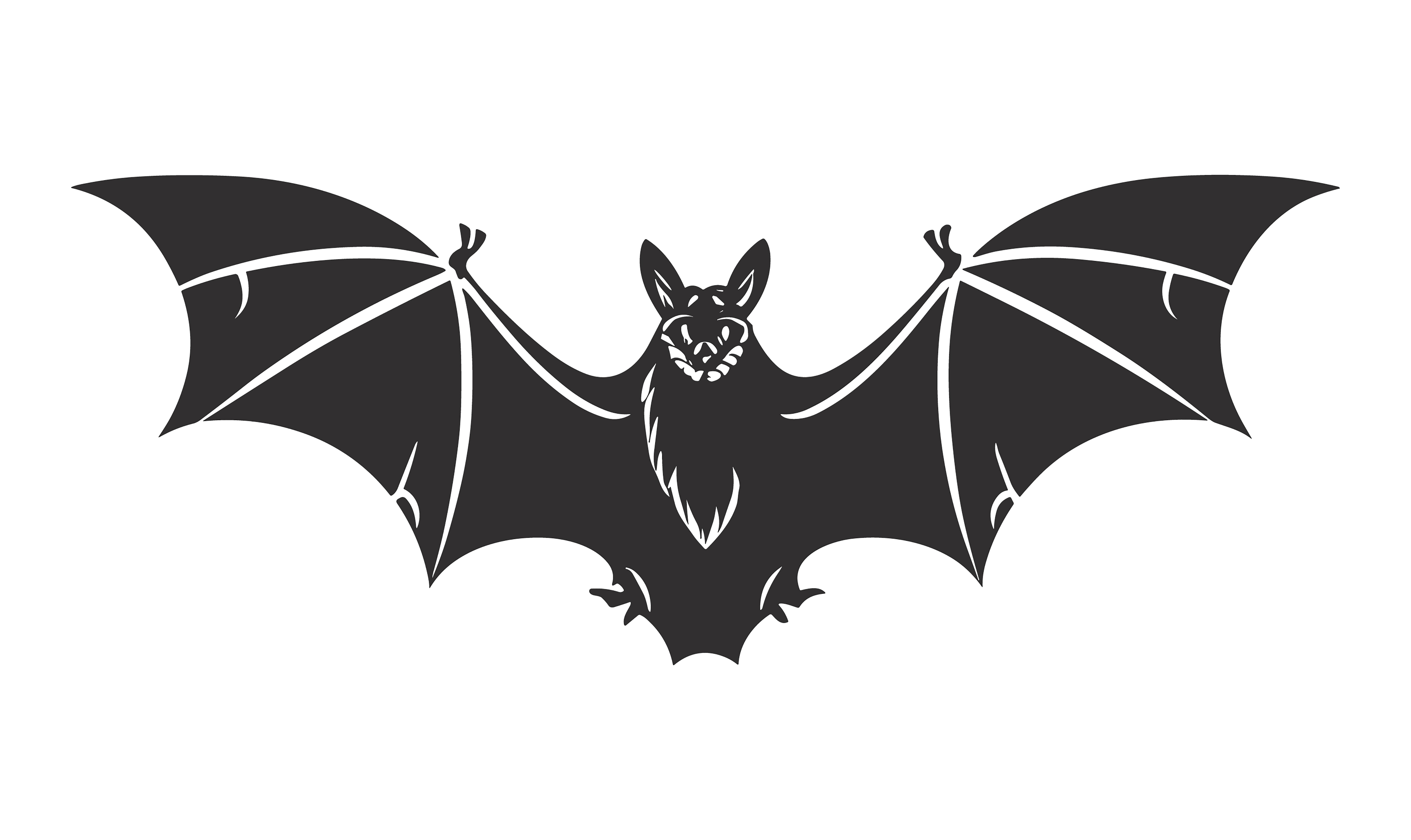 Bat customizable silhouettes set design #34411
