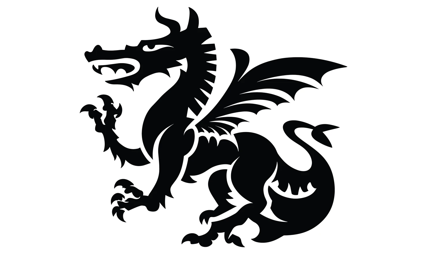 Dragon customizable icon set design #34981