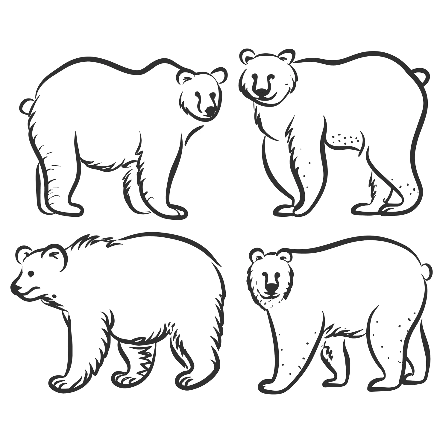 Bear customizable icon set design #35222