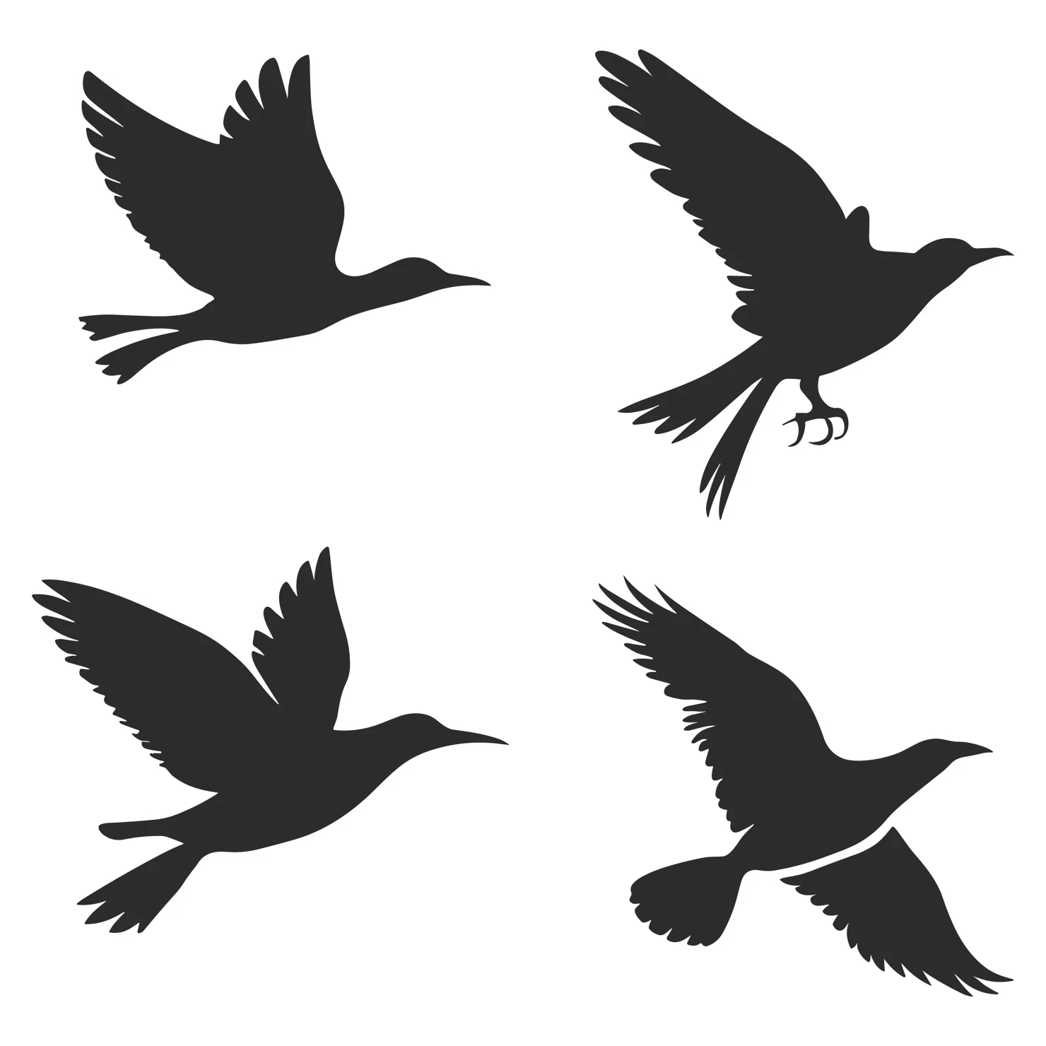 Birds customizable silhouettes set design #35891