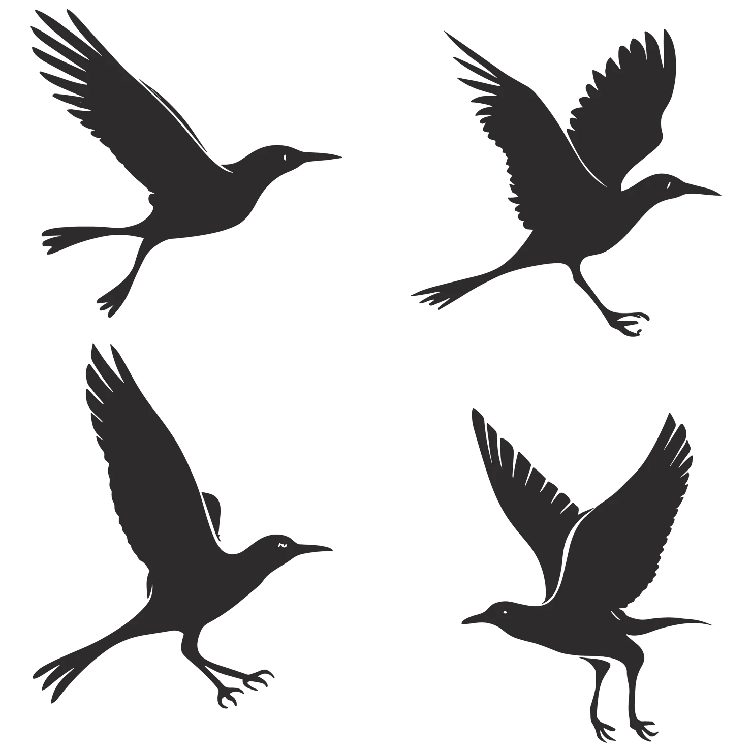 Birds customizable silhouettes set design #35894