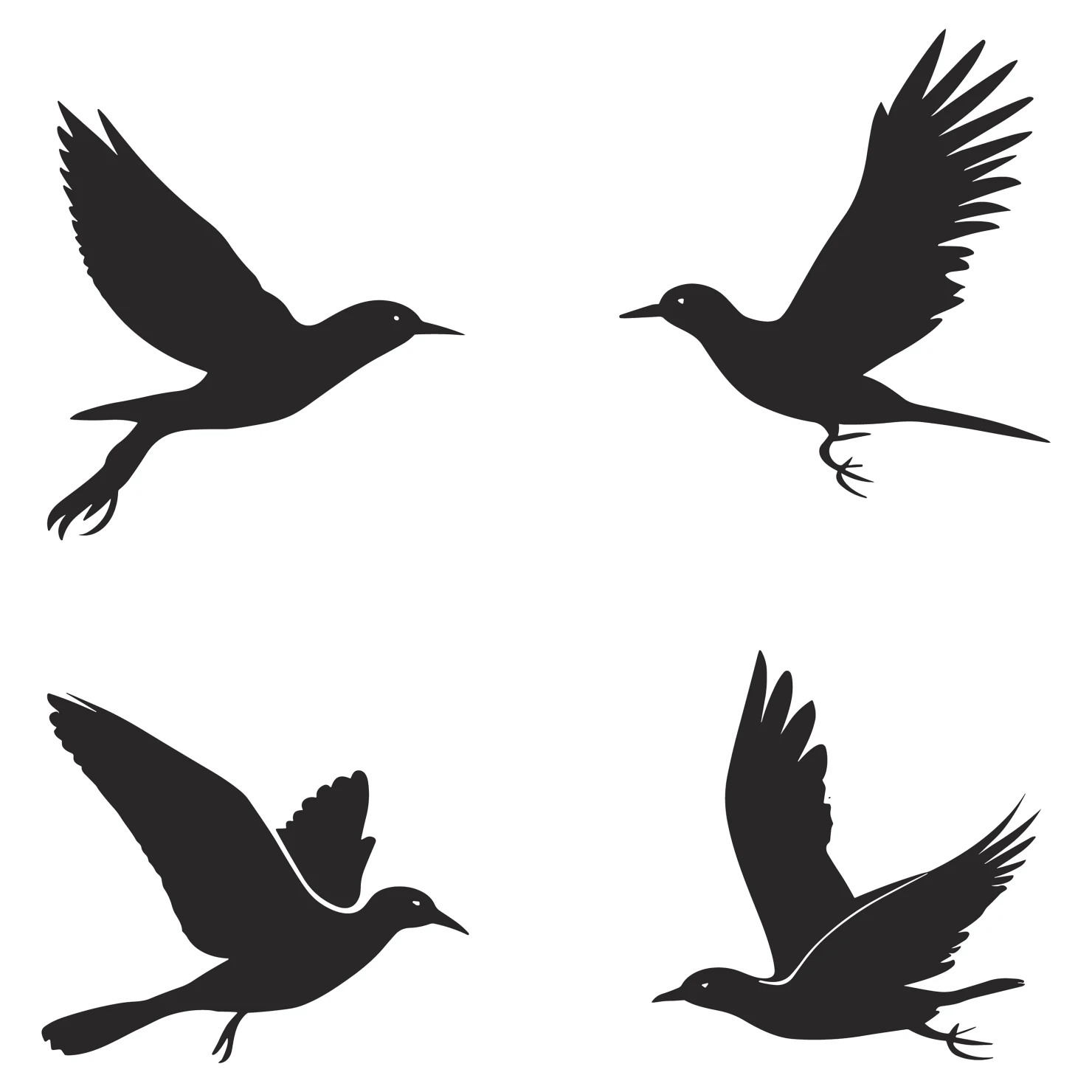 Birds customizable silhouettes set design #35896