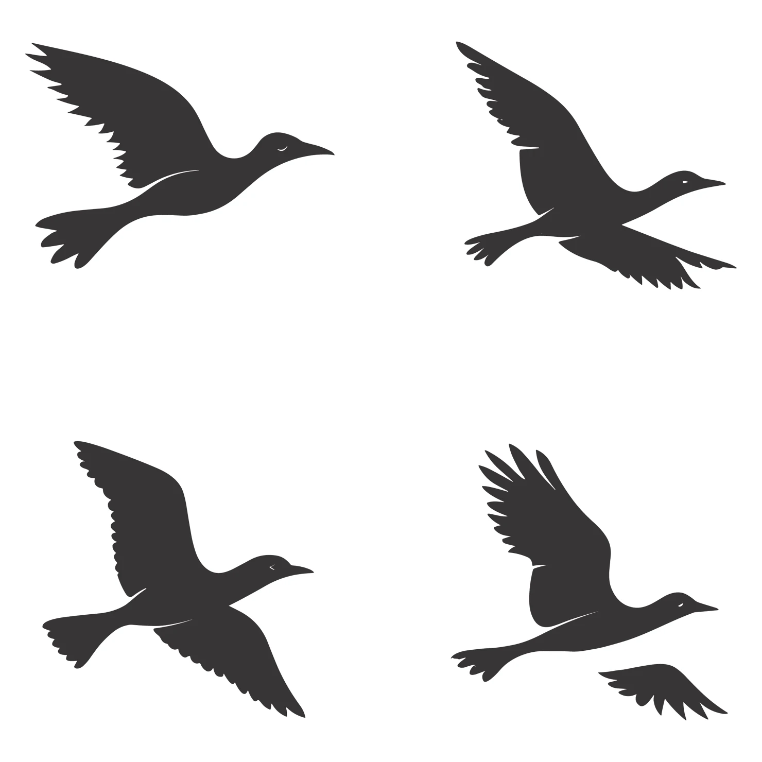 Birds customizable silhouettes set design #35898