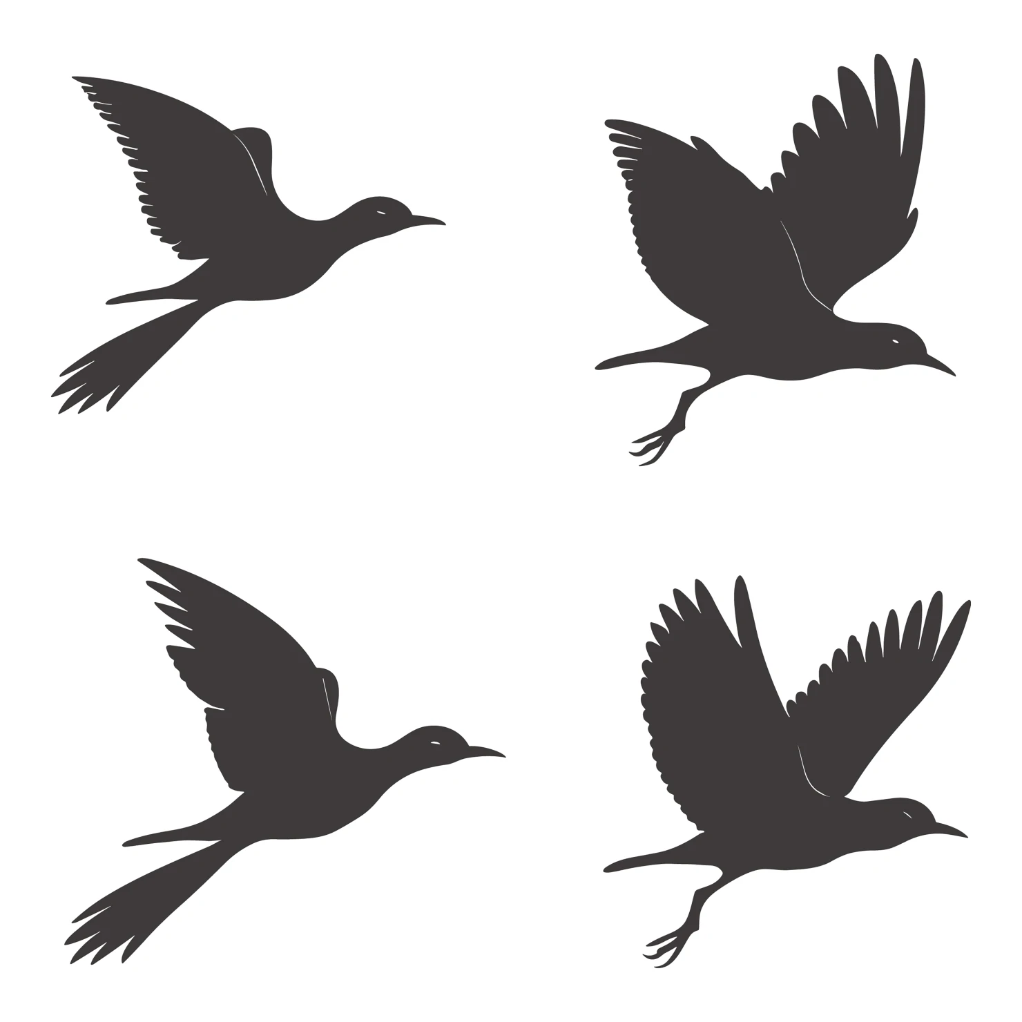 Birds customizable silhouettes set design #35901