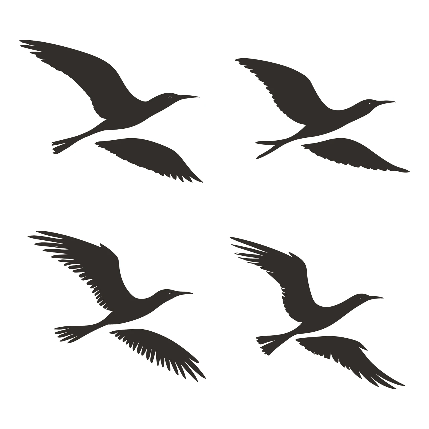 Birds customizable silhouettes set design #35905
