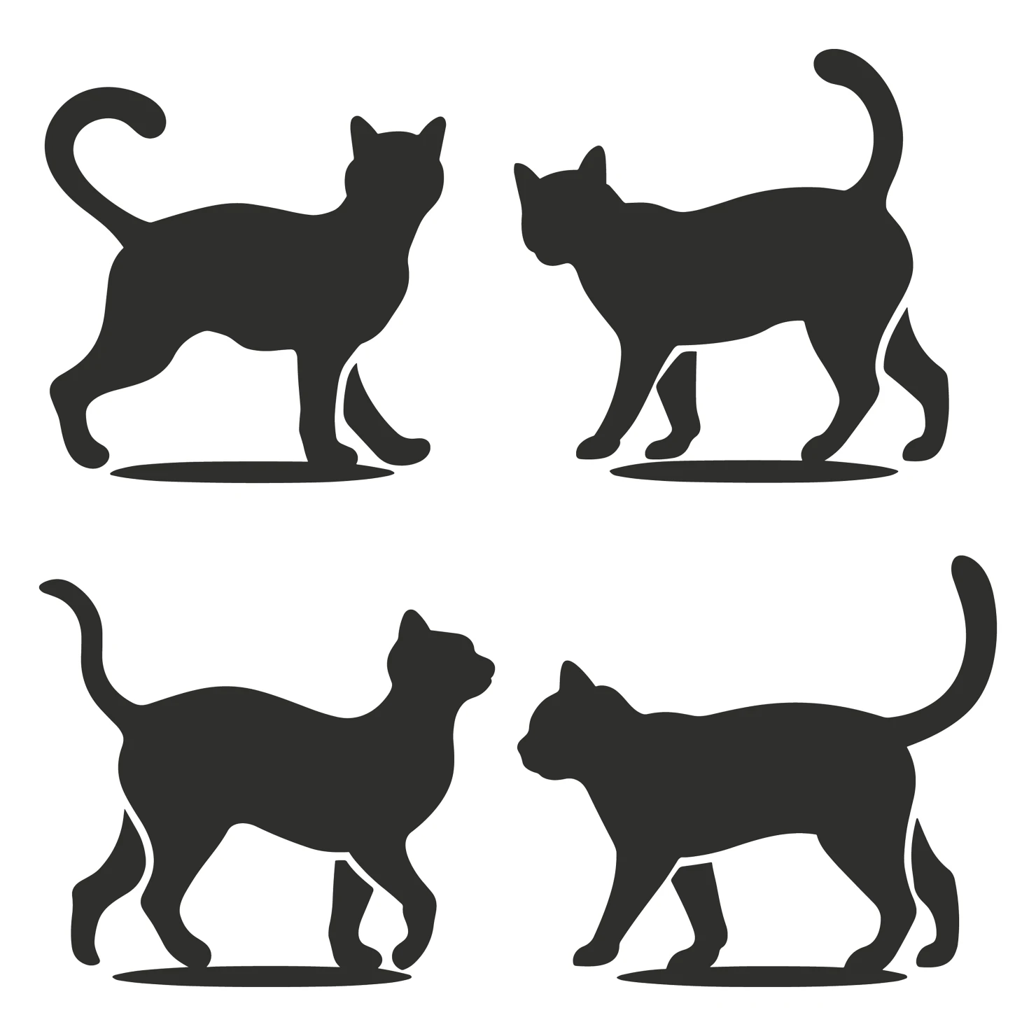 Cat customizable silhouettes set design #35915
