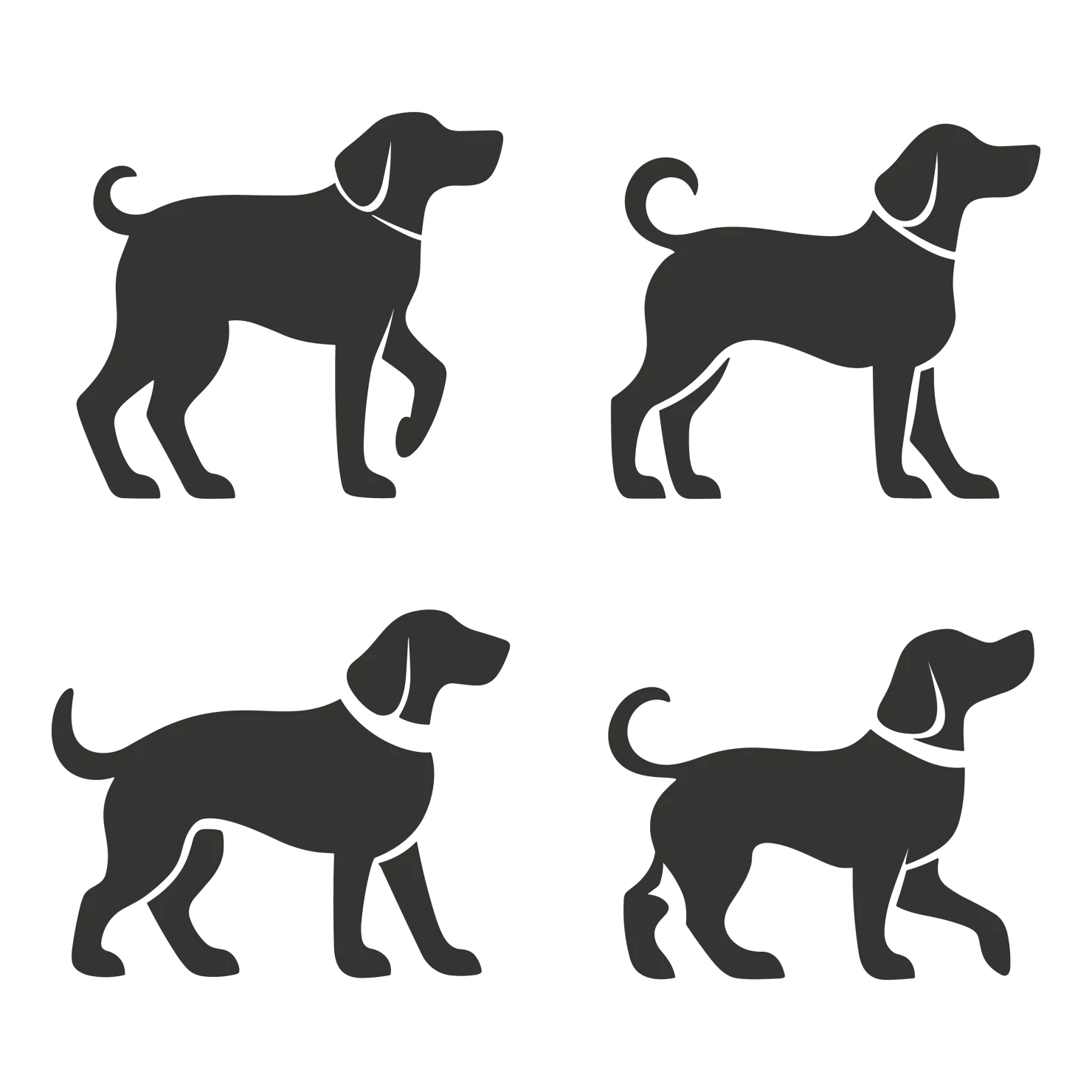Dog customizable icon set design #35976
