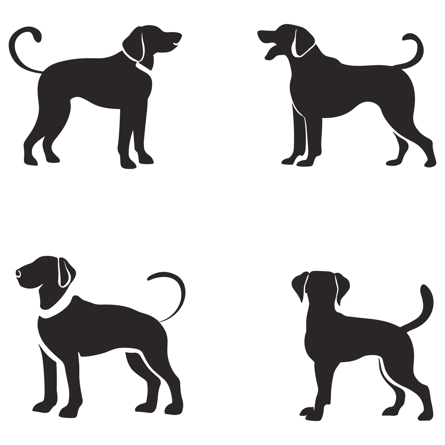 Dog customizable icon set design #35977