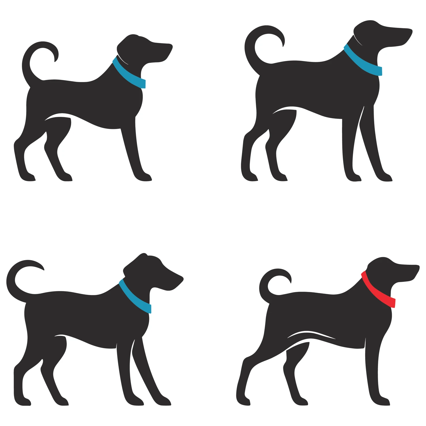 Dog customizable icon set design #35978