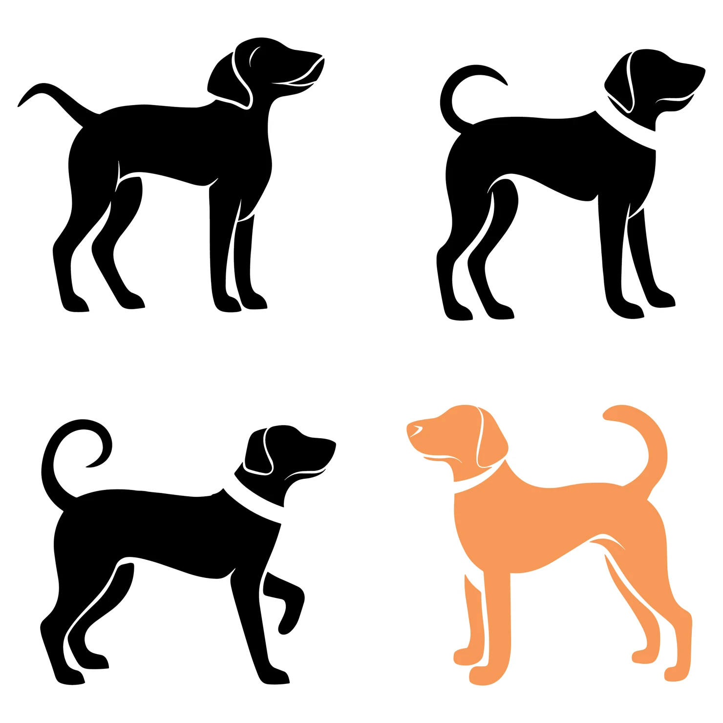 Dog customizable icon set design #35982