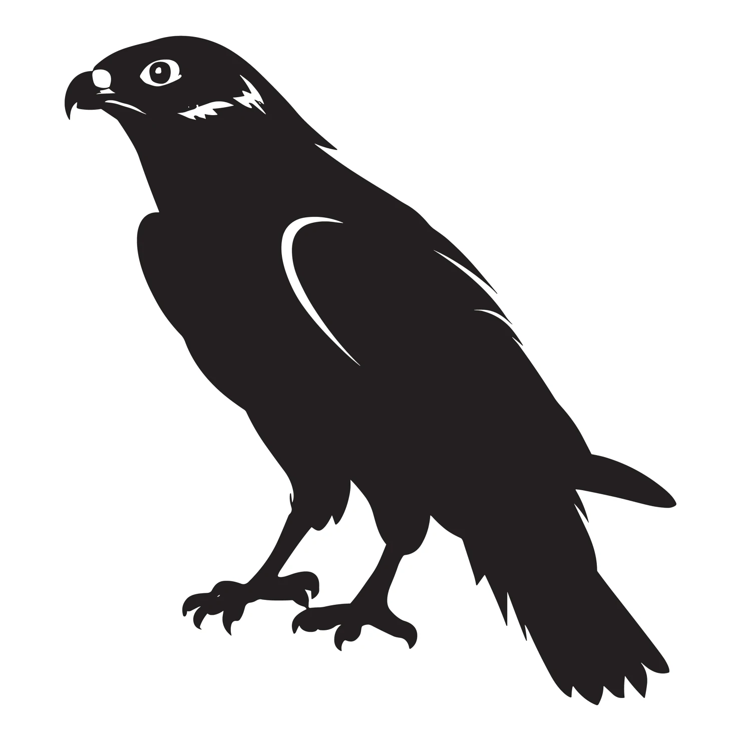 Falcon customizable silhouettes design #36277