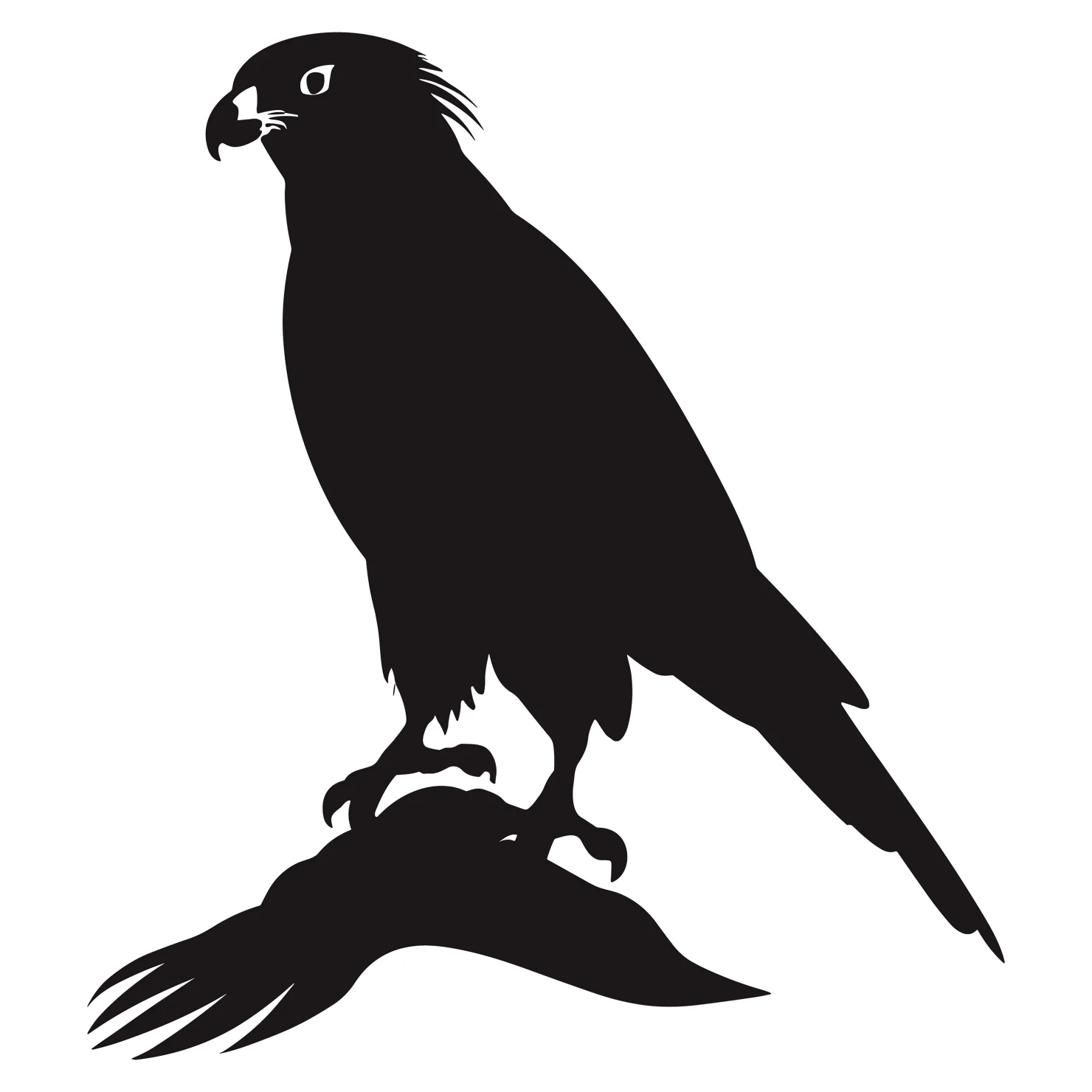 Falcon customizable silhouettes design #36278