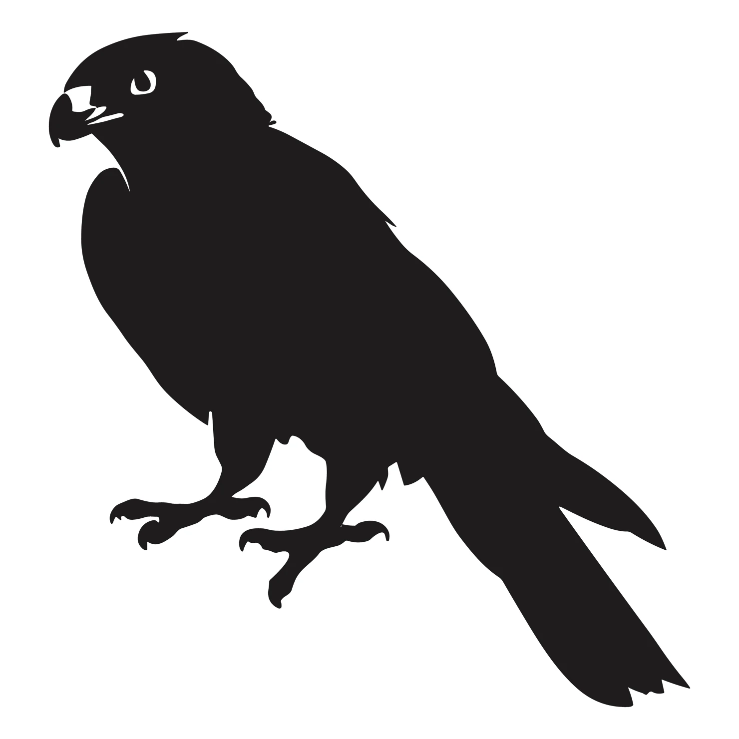 Falcon customizable silhouettes design #36279