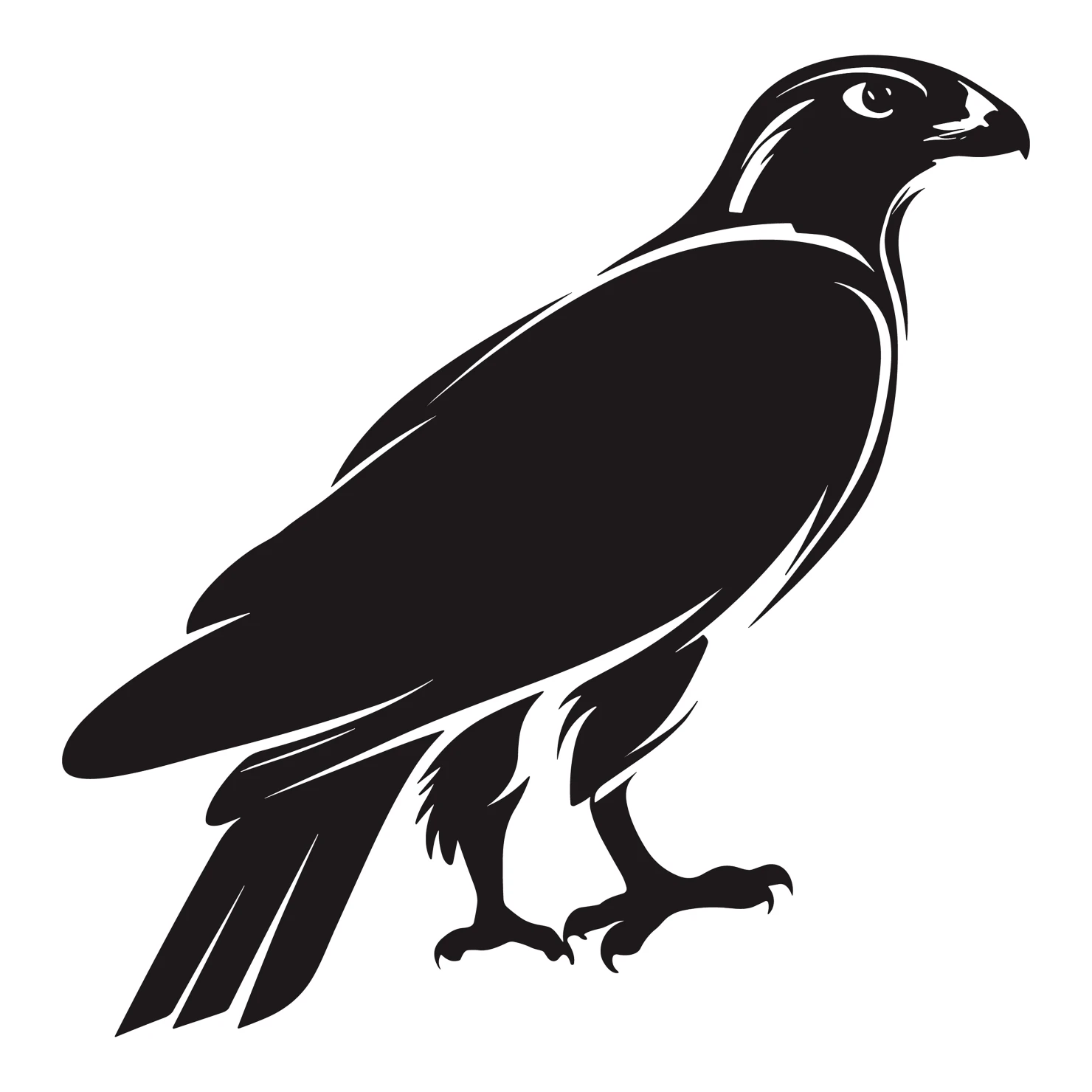 Falcon customizable silhouettes design #36280