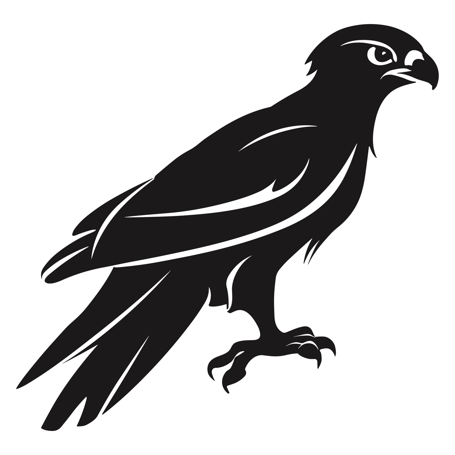 Falcon customizable silhouettes design #36281