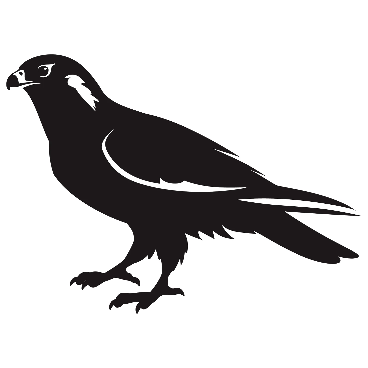 Falcon customizable silhouettes design #36282