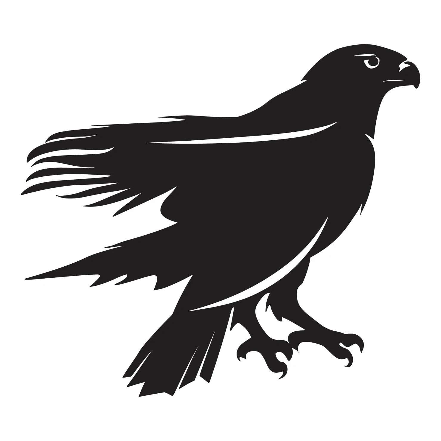 Falcon customizable silhouettes design #36288